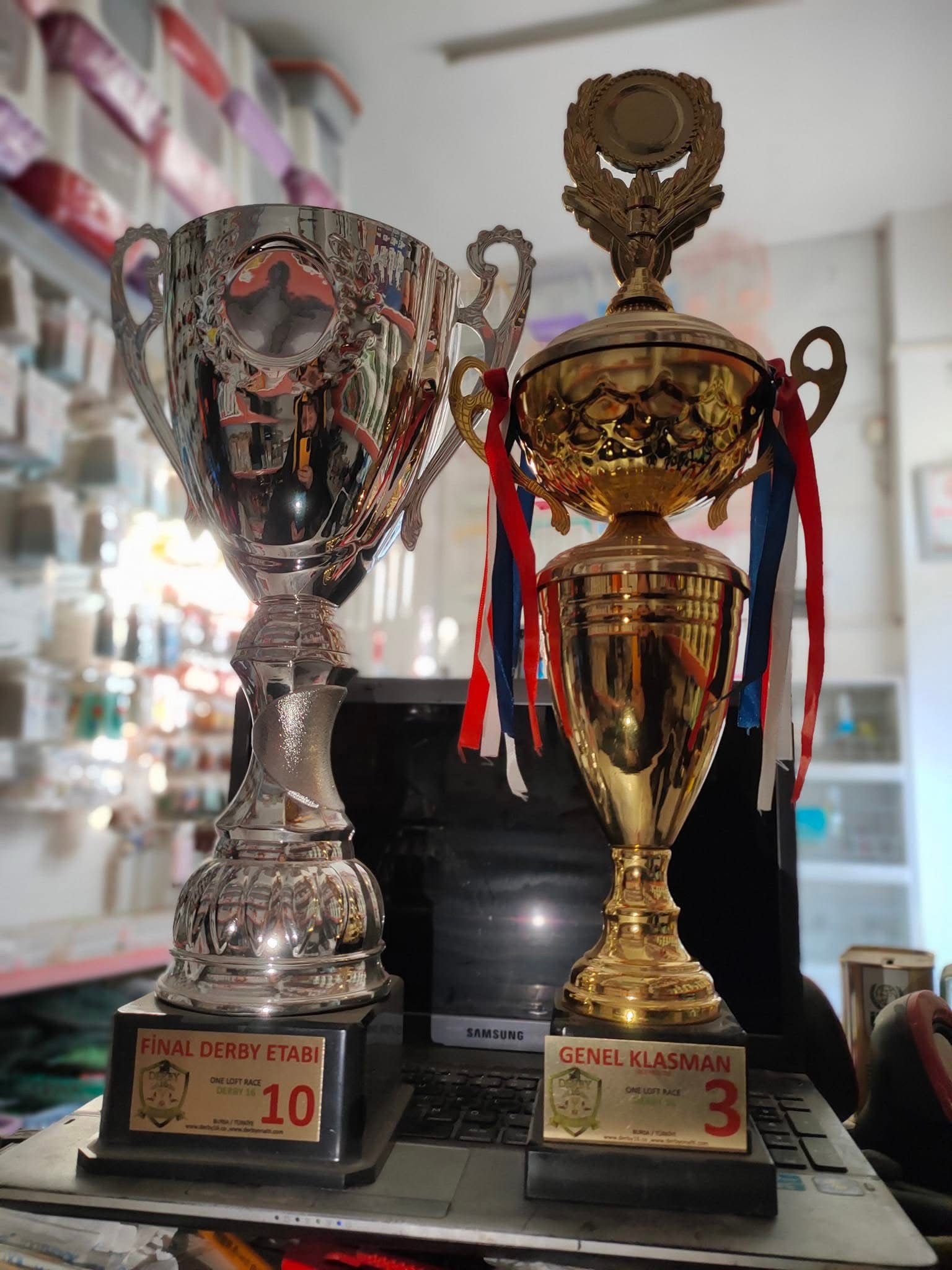 TR23-16-12285 ERKEK / BABASI SG STEFFL % 100