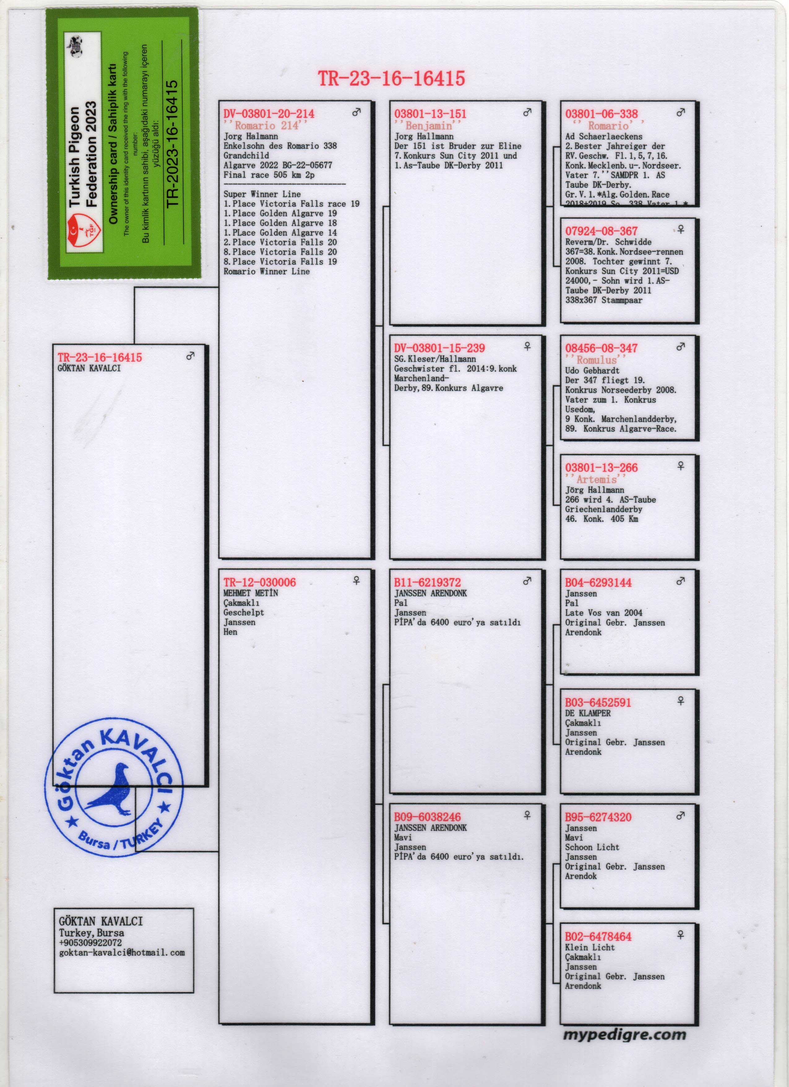 TR23-16-16415 ERKEK  / BABASI JORG HALLMAN BENJAMIN OGLU ANNESİ JANSSEN % 100