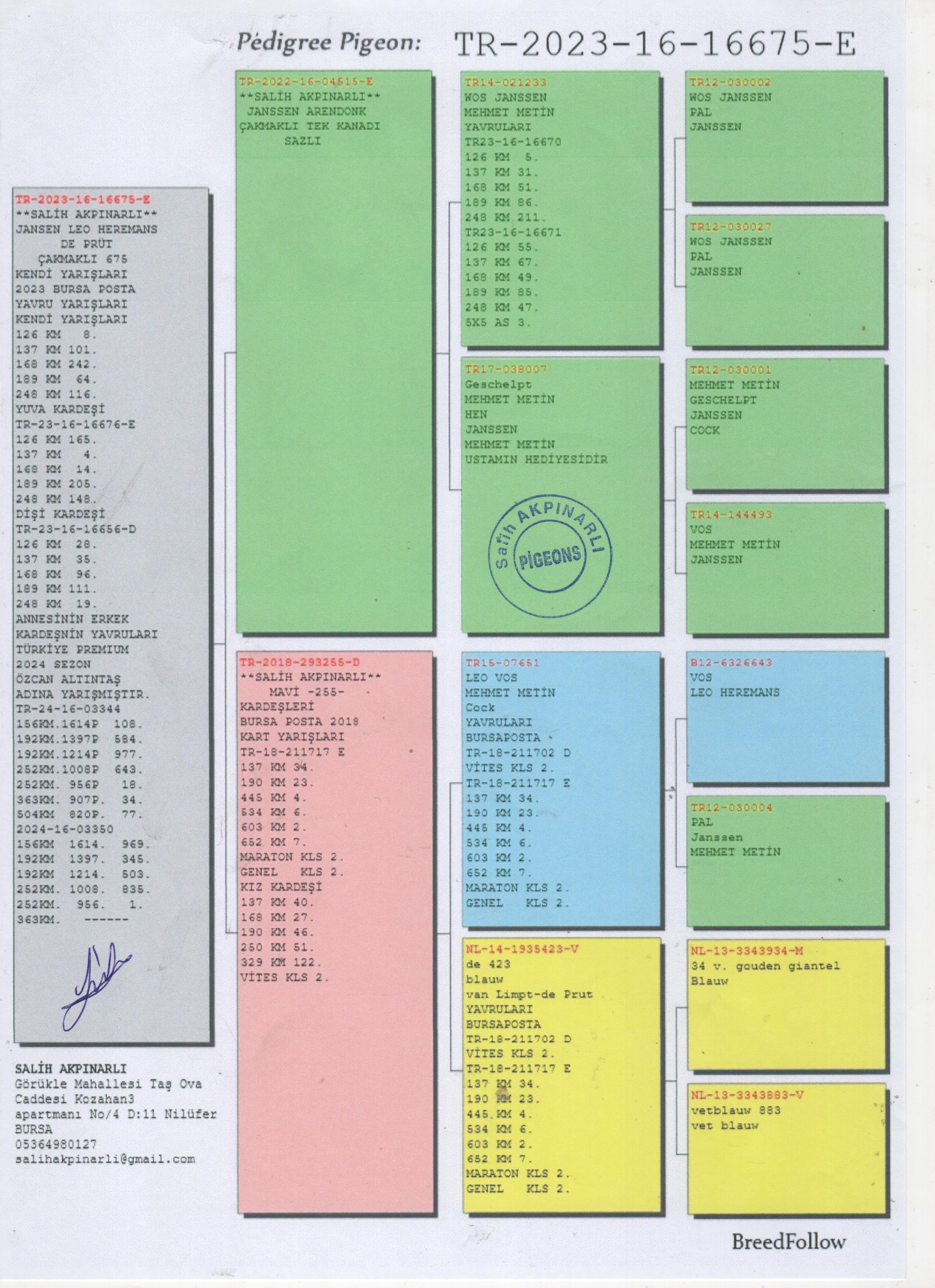 TR23-16-16675 ERKEK / JANSSEN / DE KLAK - KENDİSİ YARISMISTIR