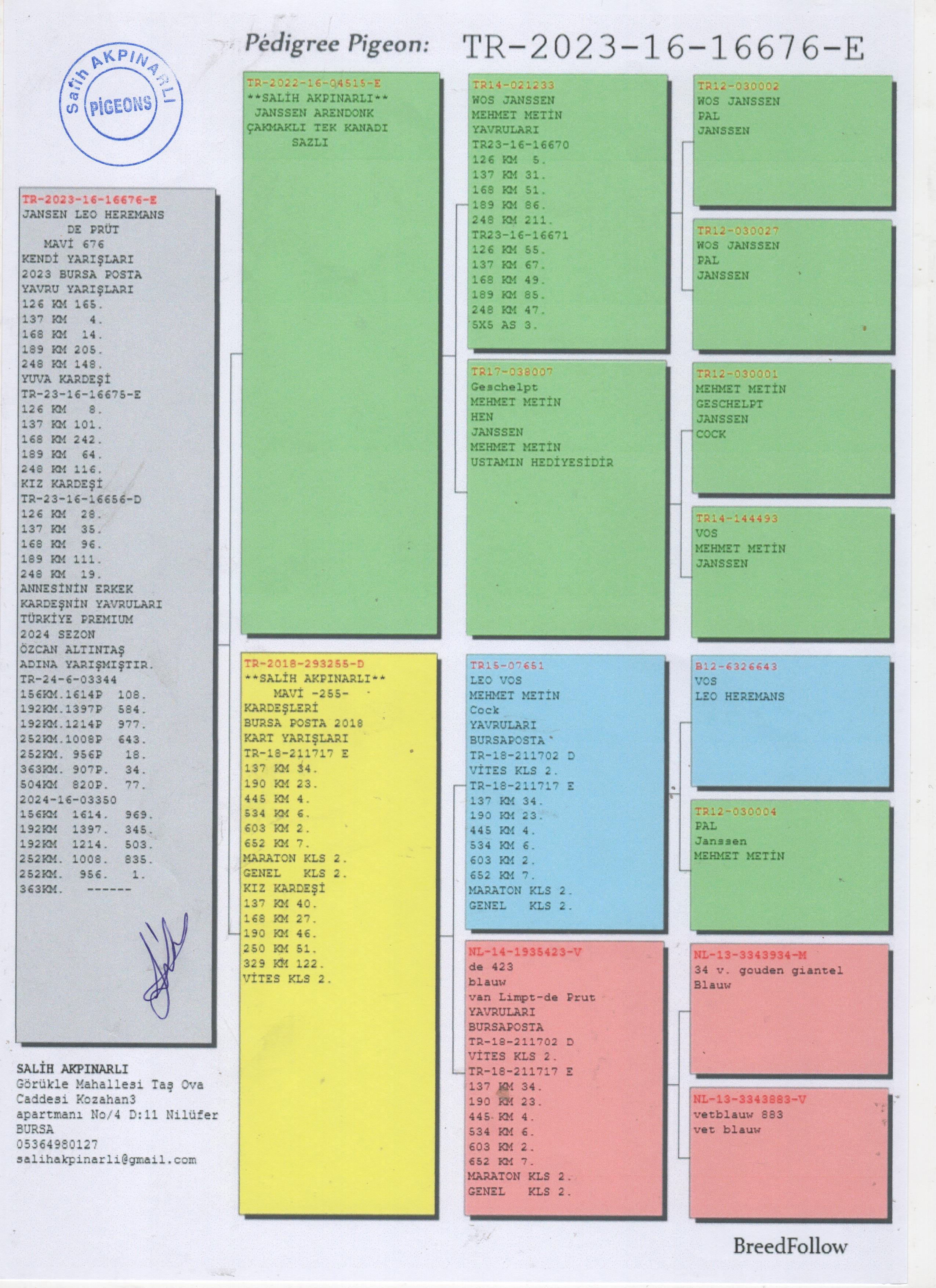 TR23-16-16676 ERKEK / JANSSEN / DE KLAK - KENDİSİ YARISMISTIR
