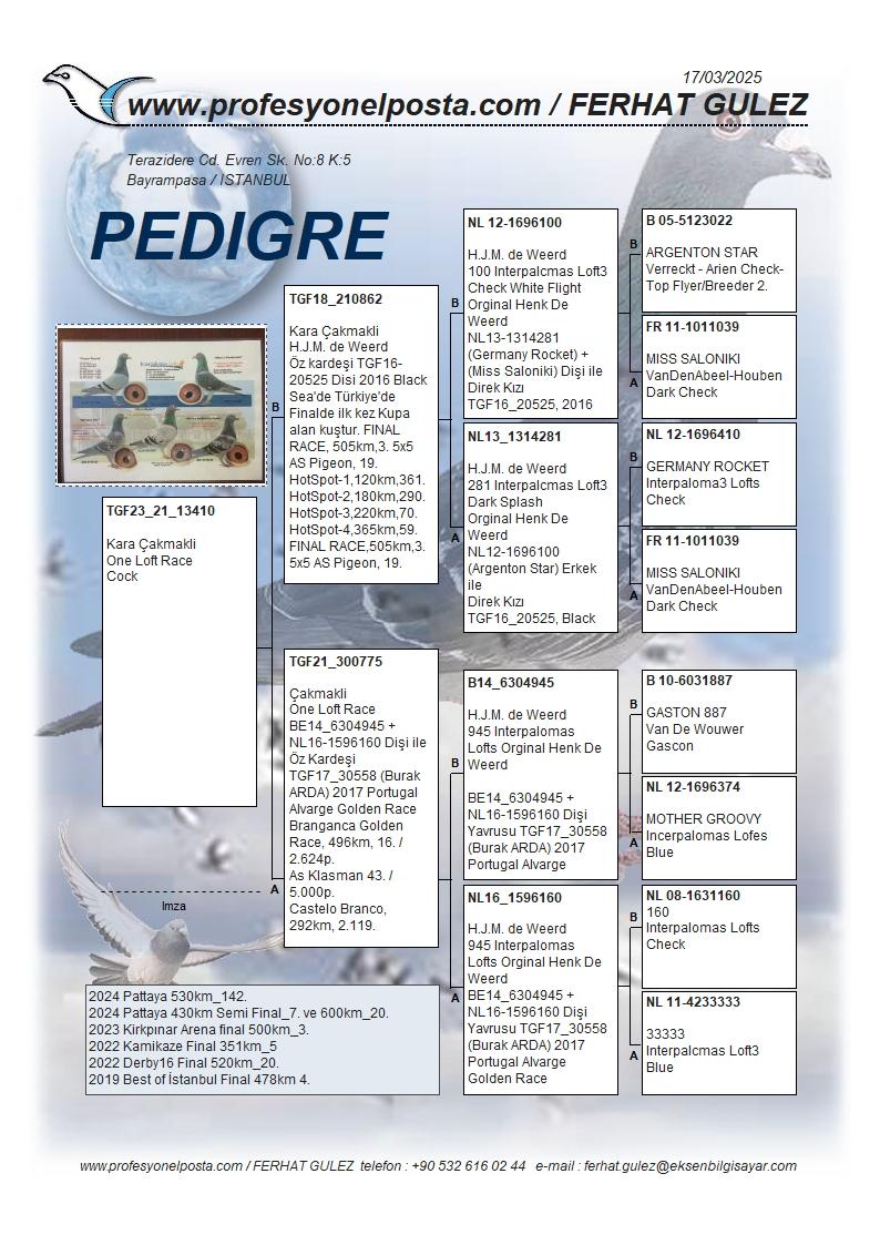 TR23-21-13410 ERKEK / DE WEERD 