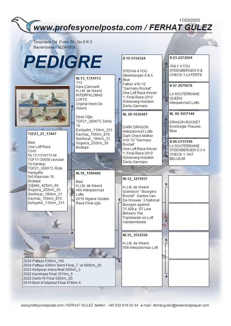 TR23-21-13447 ERKEK  /  DE WEERD