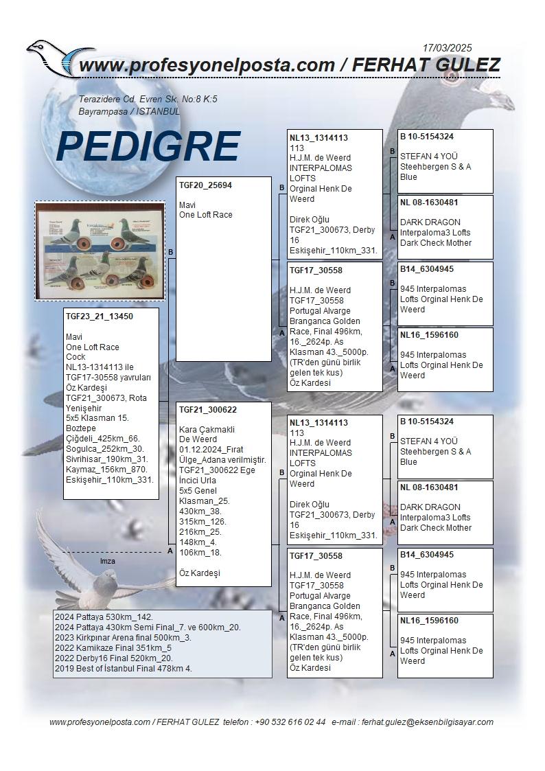 TR23-21-13450 ERKEK /  DE WEERD