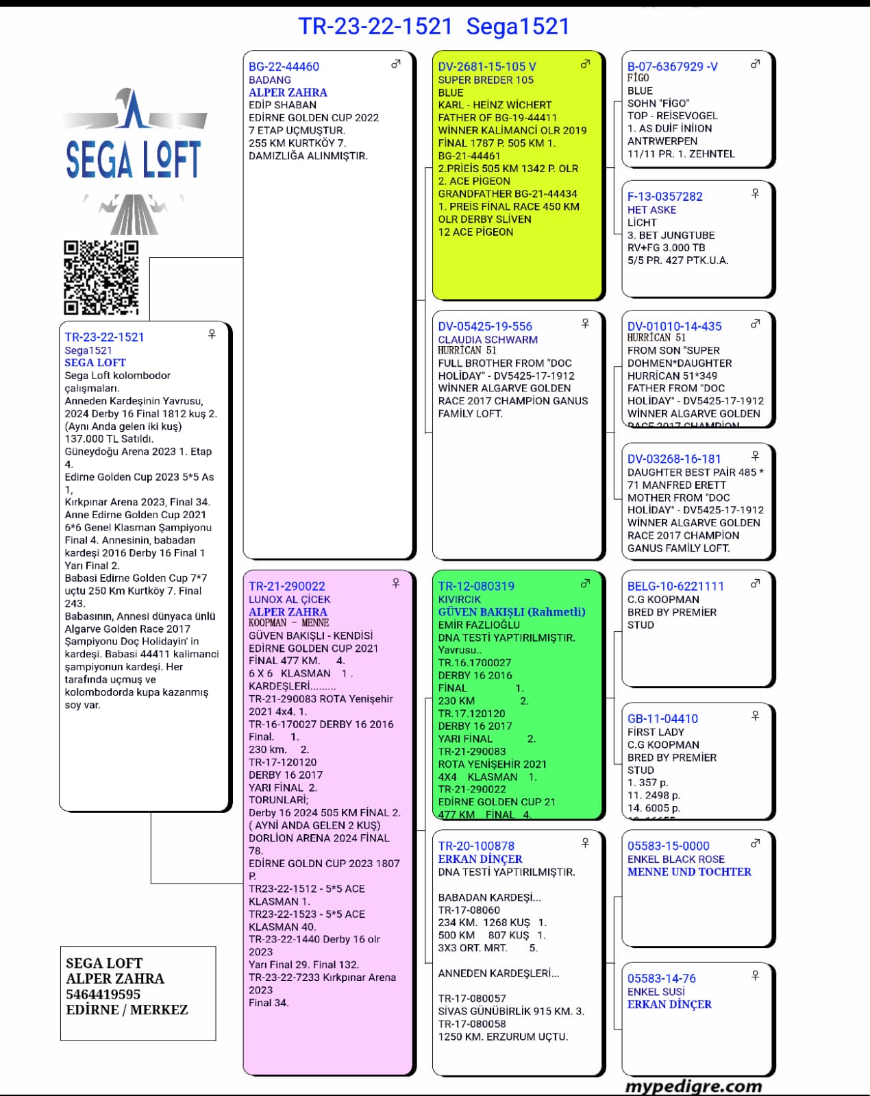 TR23-22-1521 DİŞİ / ANNEDEN KARDEŞ YAVRULARI 2 FİNAL DERBY16 BİR &Ccedil;OK BAŞARI