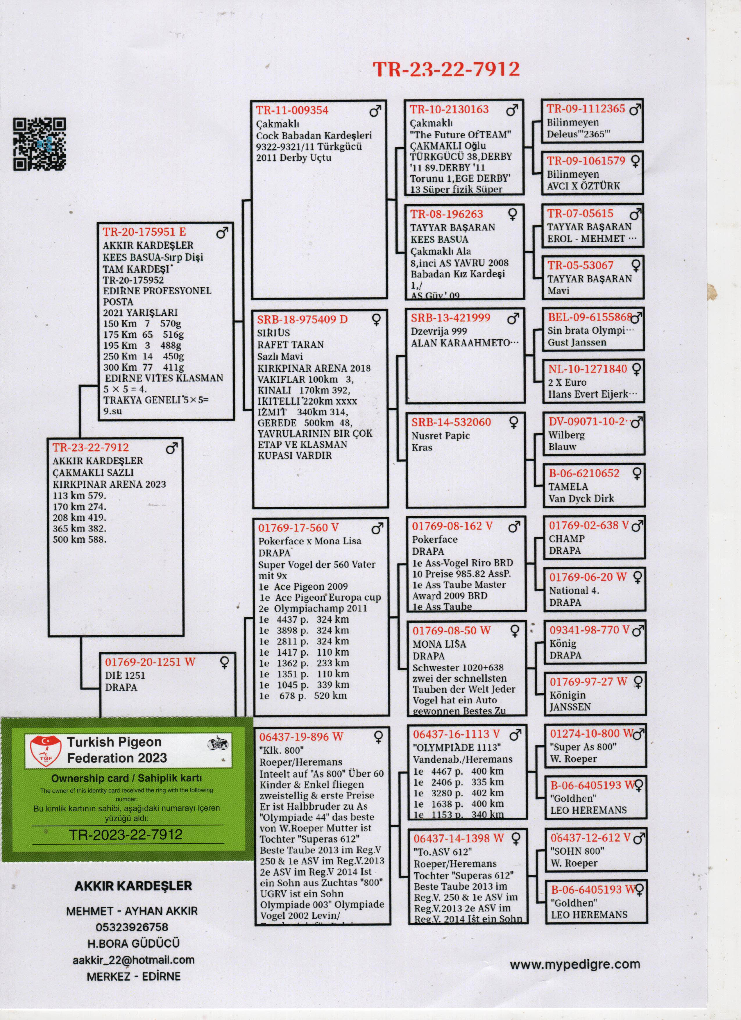 TR23-22-7812 ERKEK / KEES BOSUA - ANDREAS DRAPA ( POKERFACE )