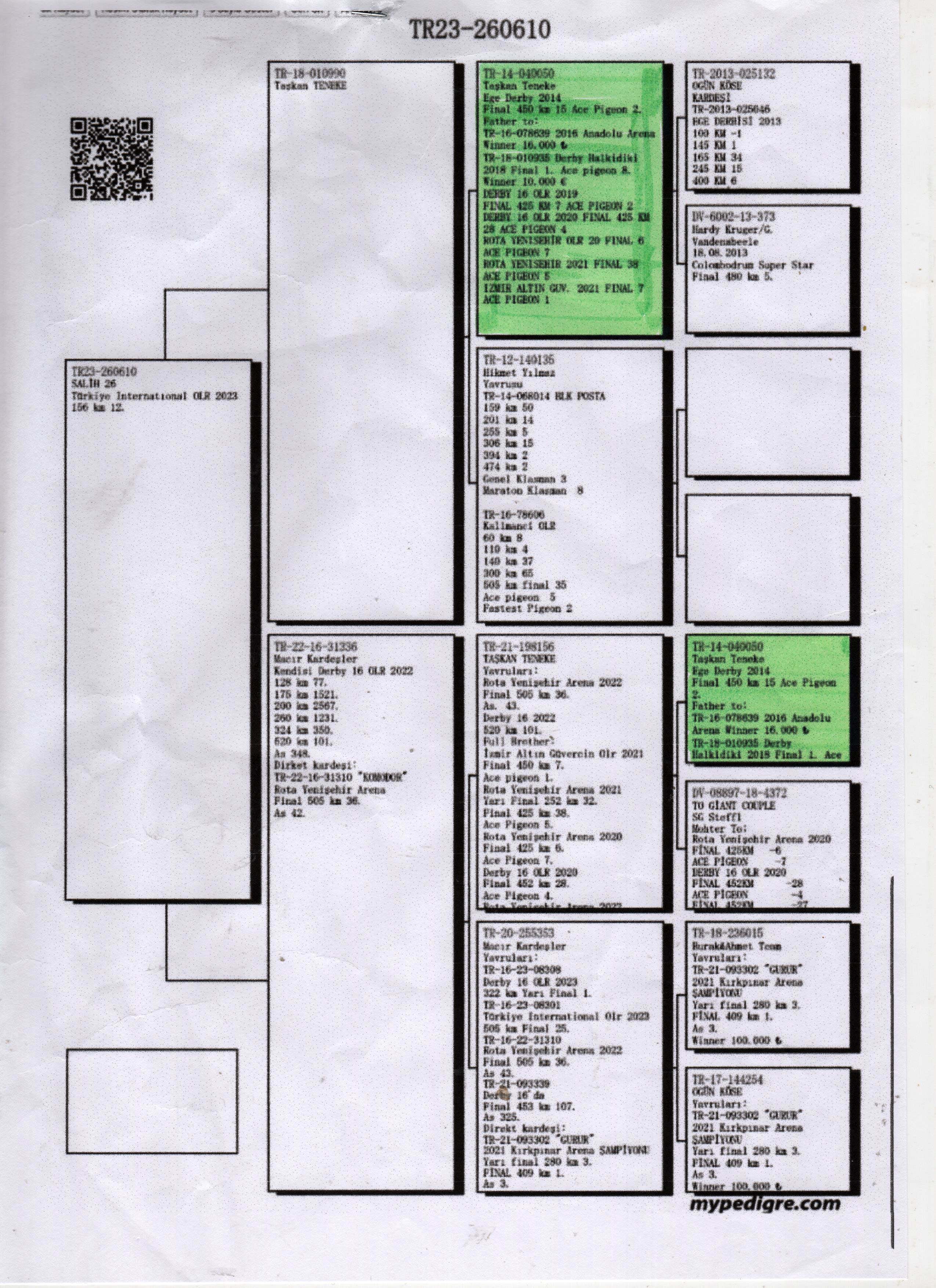 TR23-230610 ERKEK / INBREED 050