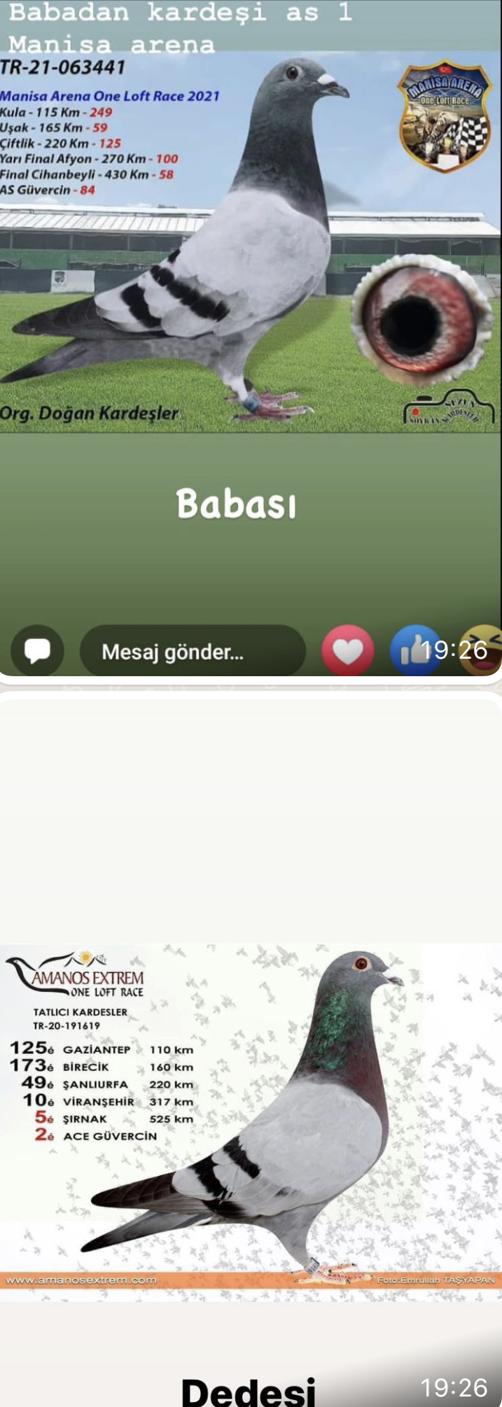 TR23-27-07741 ERKEK / 150. FİNAL 505 KM 6 30. AS KLASMAN - MEHMET ENDER - ÖZDEMİR
