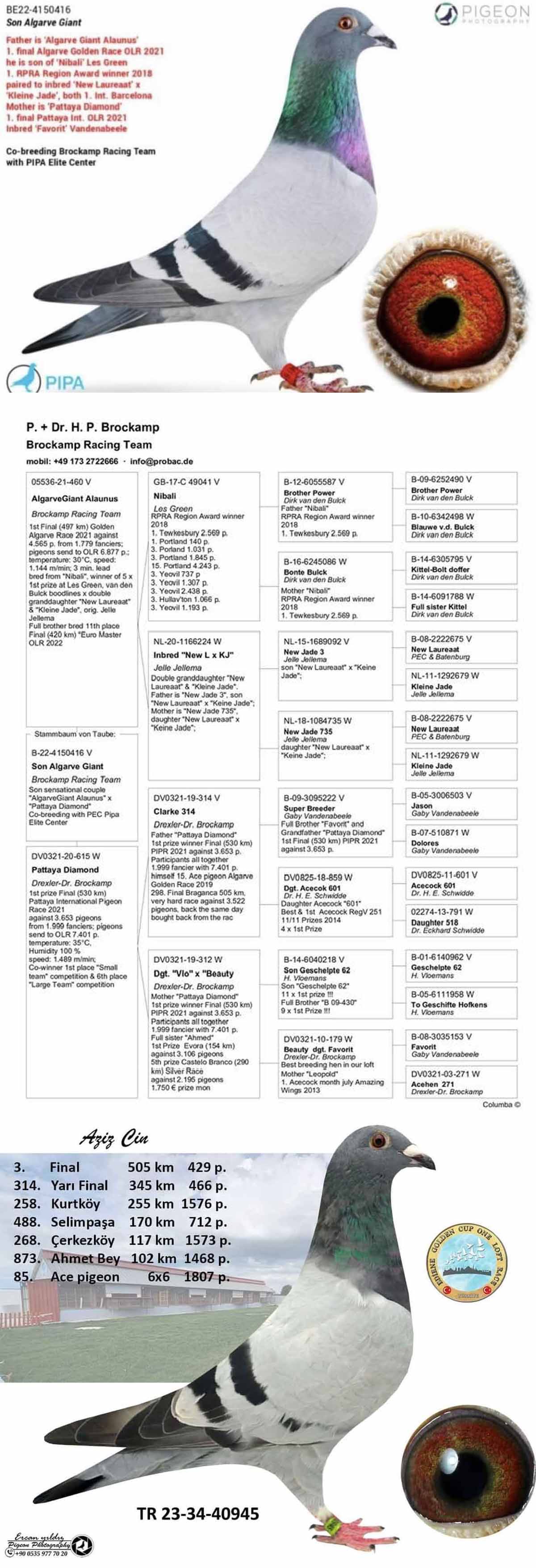 TR23-34-03512 ERKEK  / BABADAN KARDEŞİ 3. FİNAL 505 KM EDIRNE GOLDEN CUP