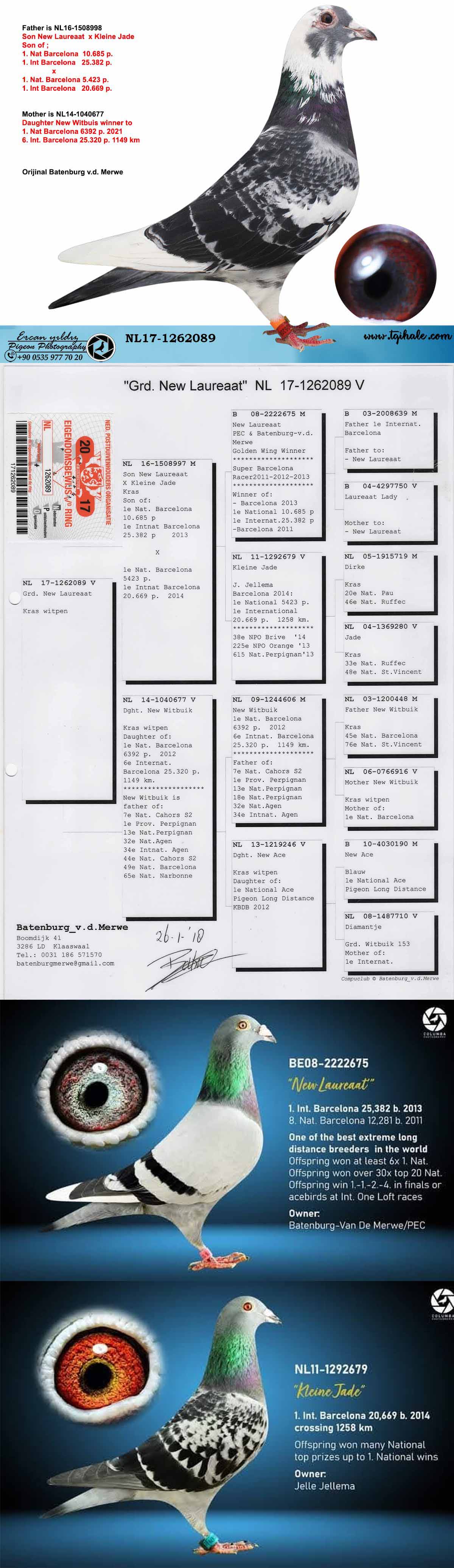 TR23-34-03512 ERKEK  / BABADAN KARDEŞİ 3. FİNAL 505 KM EDIRNE GOLDEN CUP