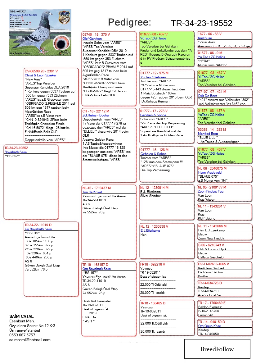 TR23-34-19552 ERKEK / BABASI INREED ARES ANNESI 7. 552 KM  ARENA EGE INCISI URLA