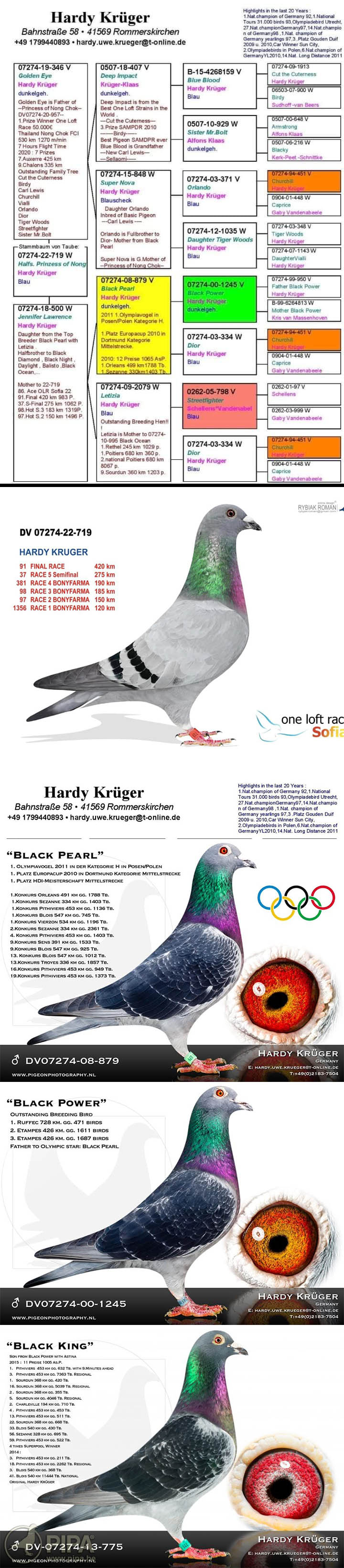 TR23-34-31792 DİŞİ / HARDY KRUGER % 100