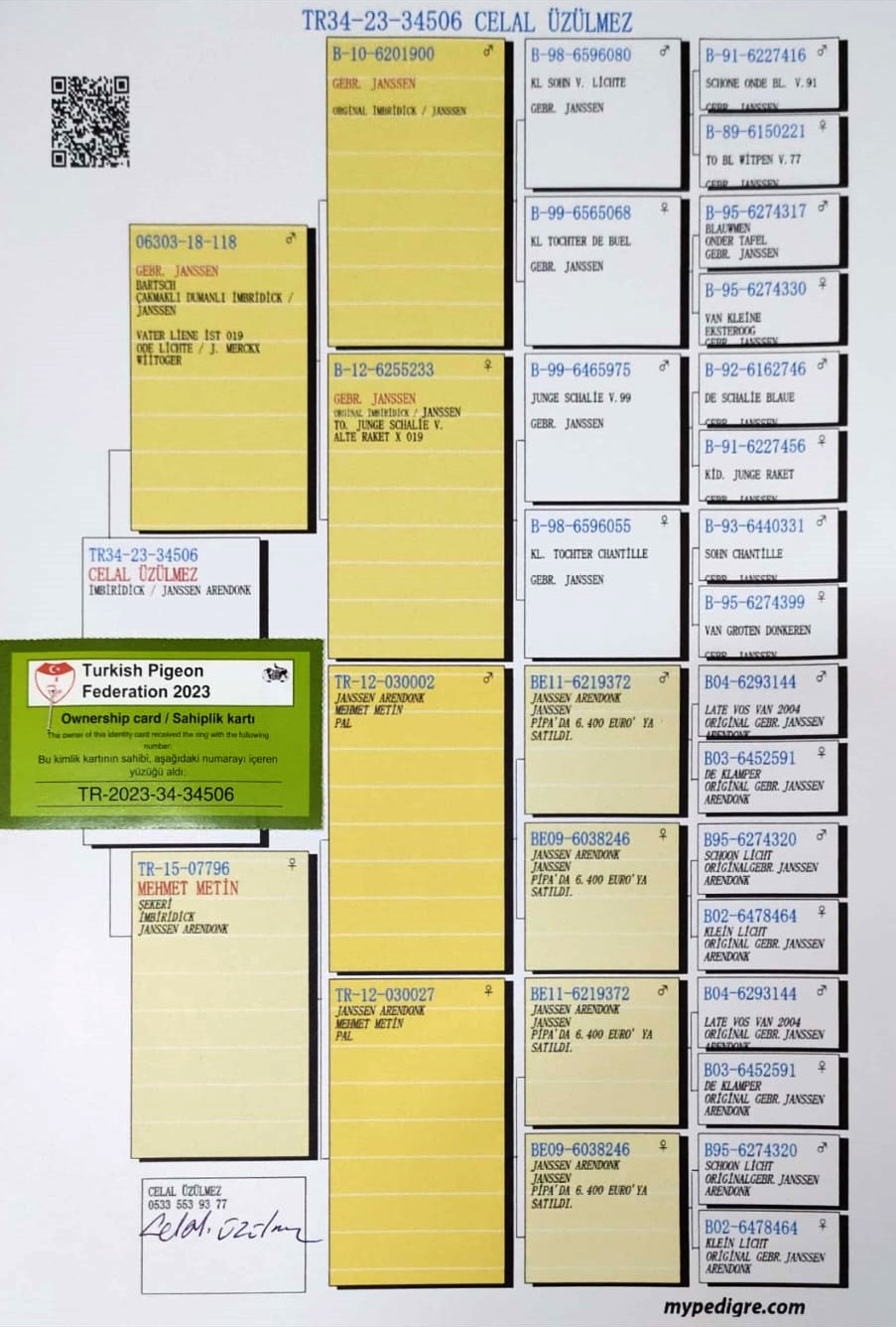 TR23-34-34506 ERKEK / GEBR. JANSSEN % 100