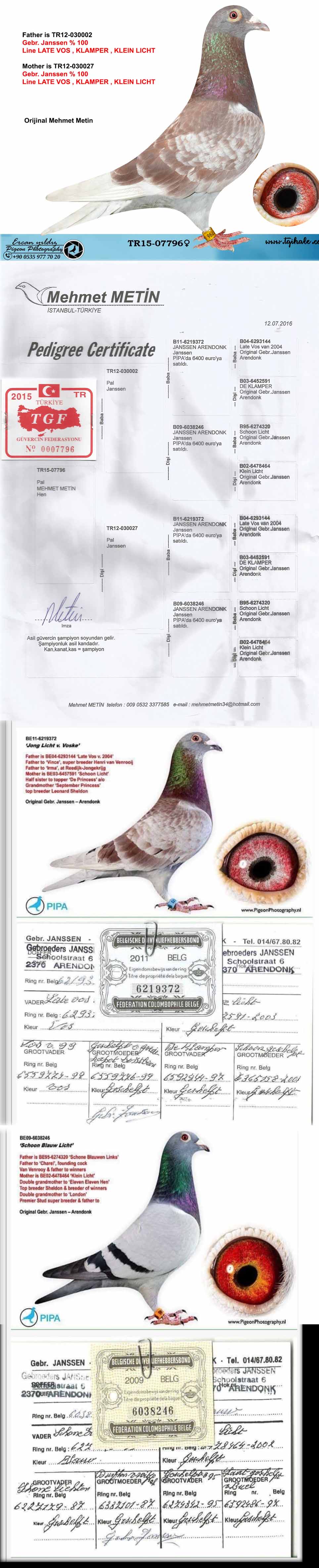 TR23-34-34506 ERKEK / GEBR. JANSSEN % 100