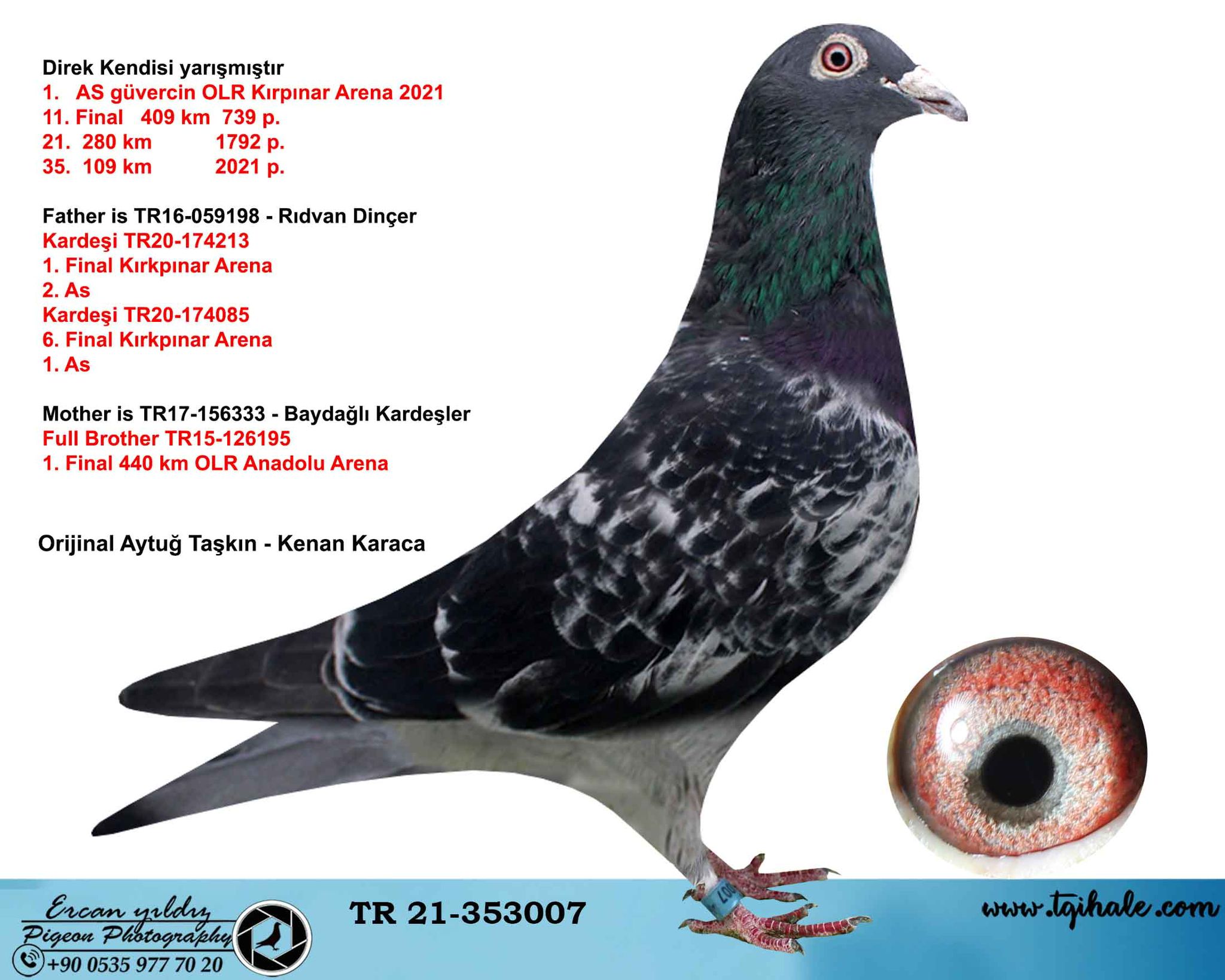 TR23-34-34936 ERKEK / 104. FİNAL 505 KM -  FIRAT ARAS - FİGO MEHMET