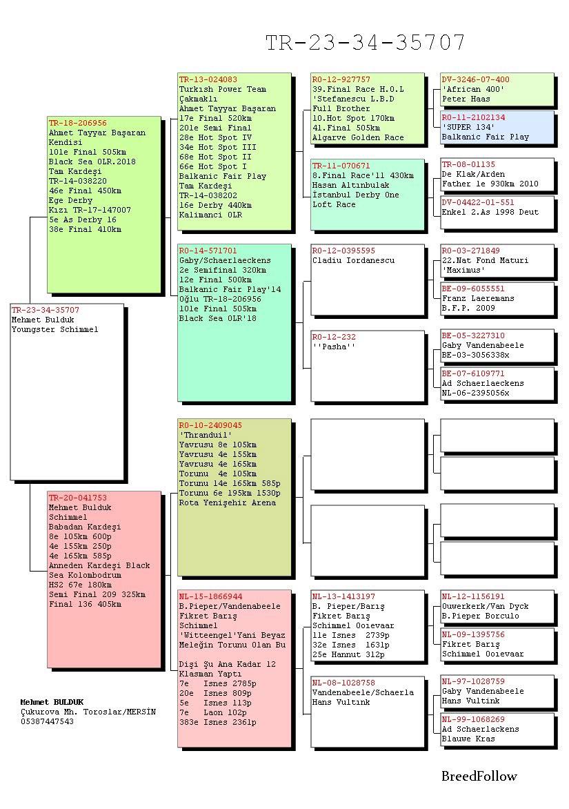 TR23-34-35707 ERKEK / BABASNIN KARDEŞİ 47 FİNAL EGE DERBY