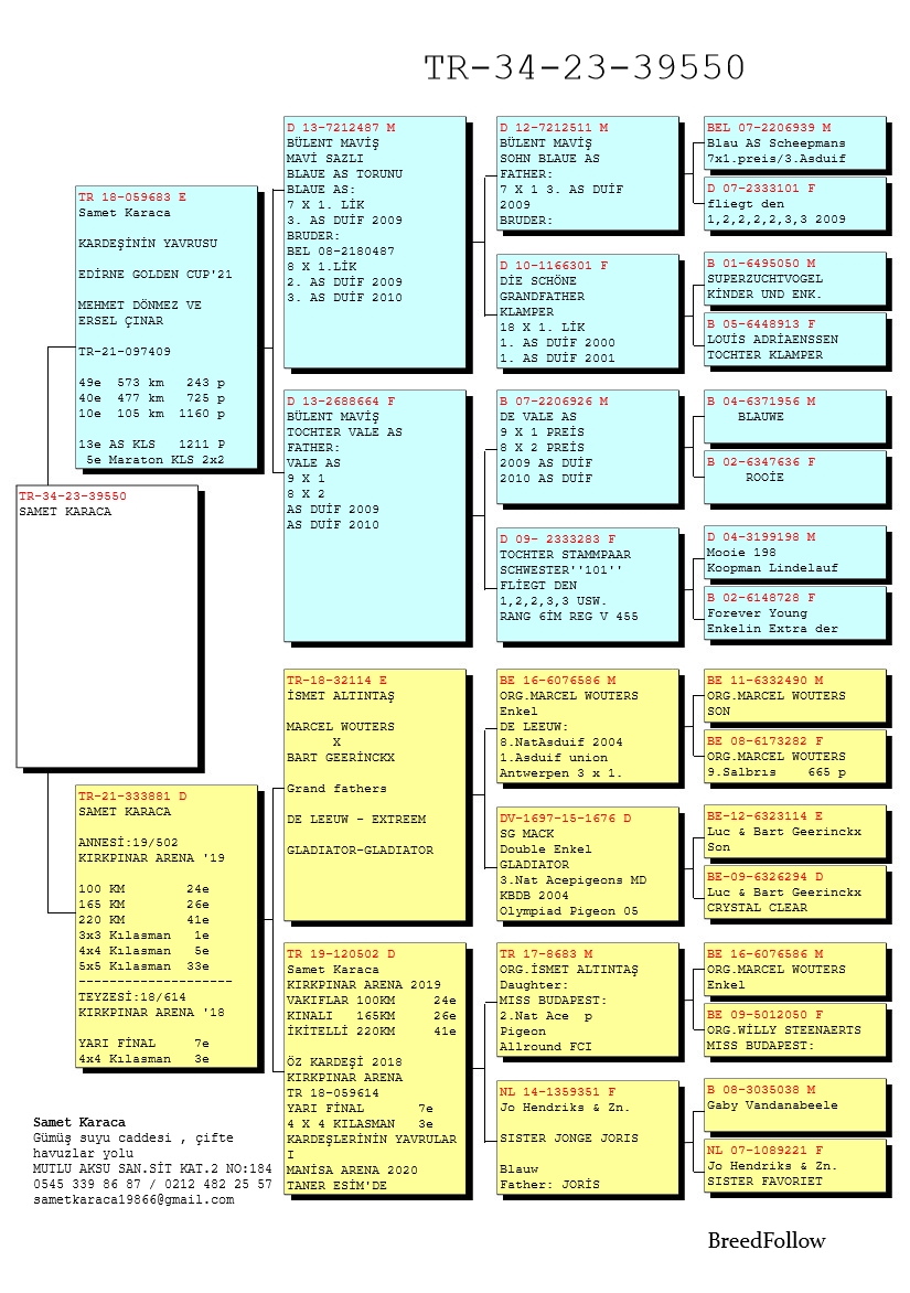 TR23-34-39550 ERKEK / BABASININ KARDEŞİNİN YAVRUSU 13 AS KLASMAN EDİRNE GOLDEN CUP