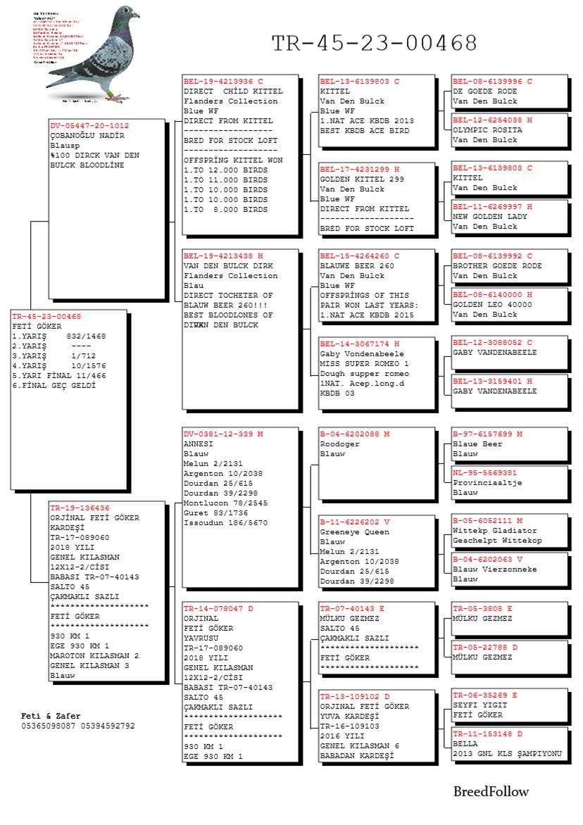 TR23-45-00468 DİŞİ / YAVRUSU 7 FİNAL MANİSA ARENA KENDİSİ YARIŞMIŞ   1 - 170 KM EDİRNE GOLDEN CUP 