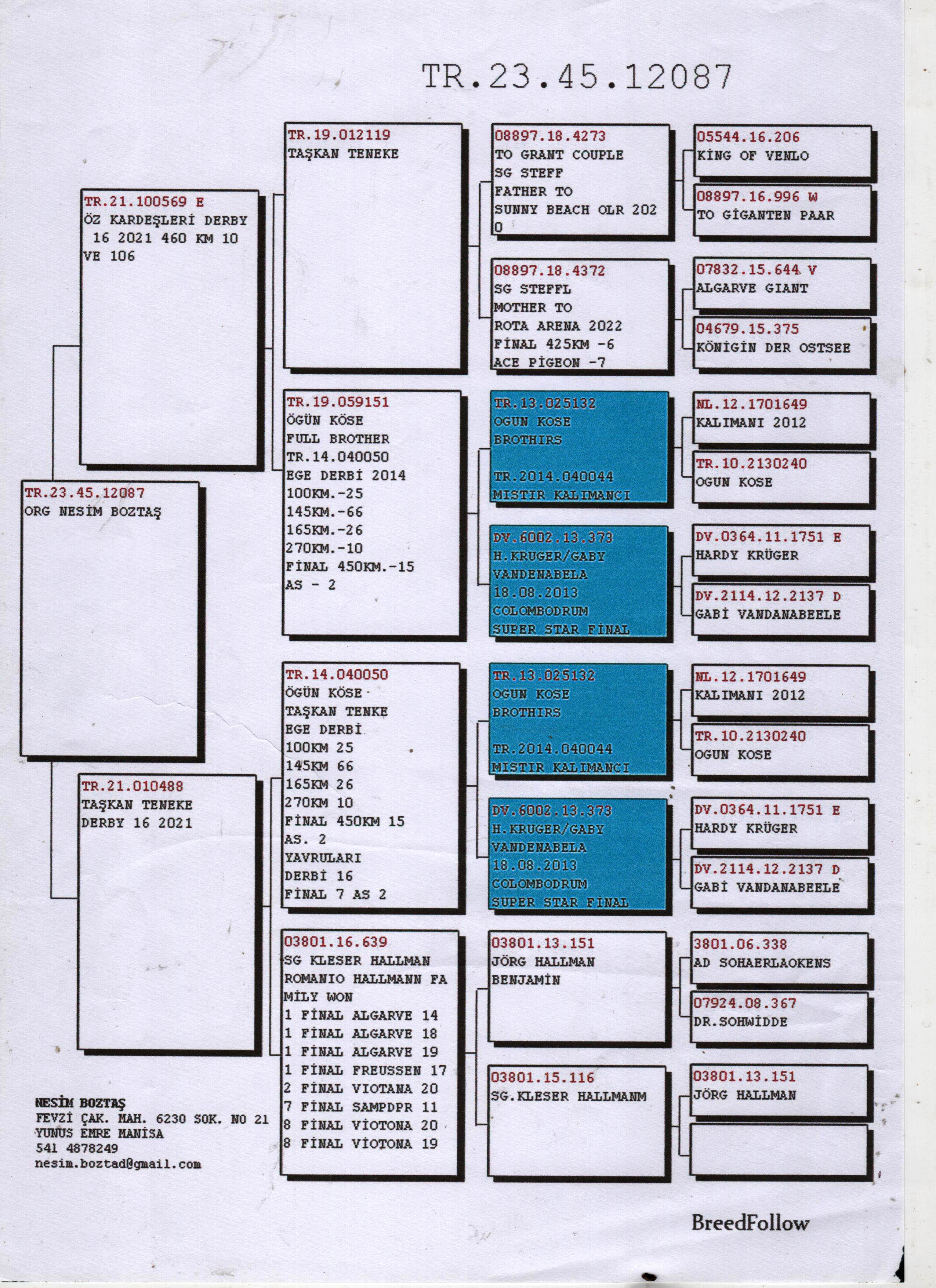 TR23-45-12087 DİŞİ / BABASININ &Ouml;Z KARDEŞİ DERBY16 10 FİNAL 
