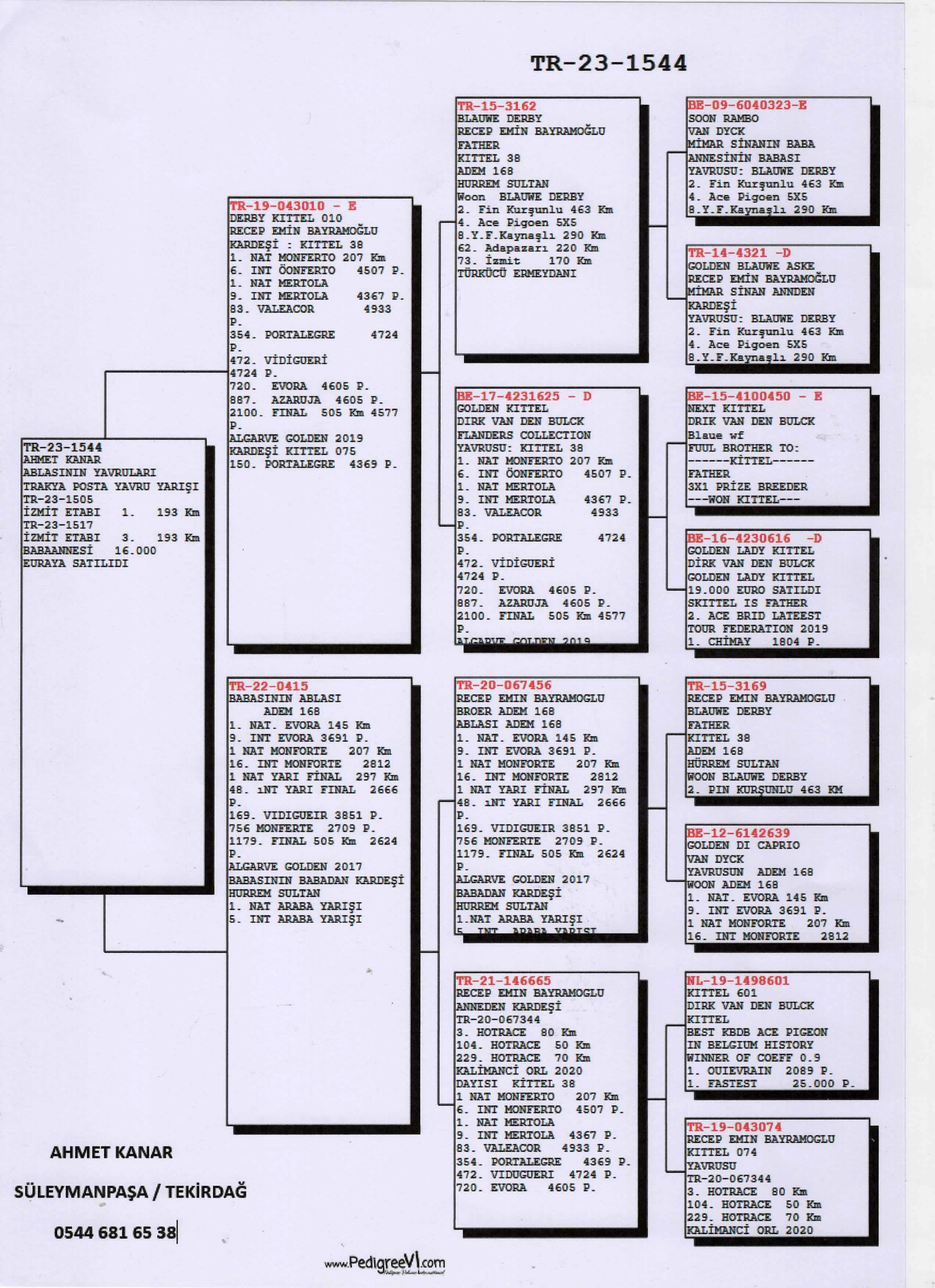 TR23-59-1455 / AHMET KANAR 