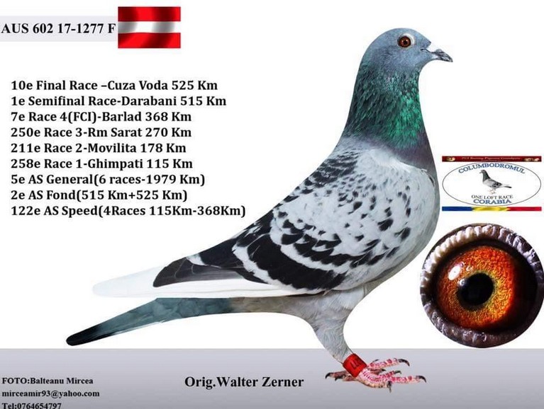 TR23-59-4220 DİŞİ  / TAM KARDEŞİİ 1. ORTA MARATON 4X4