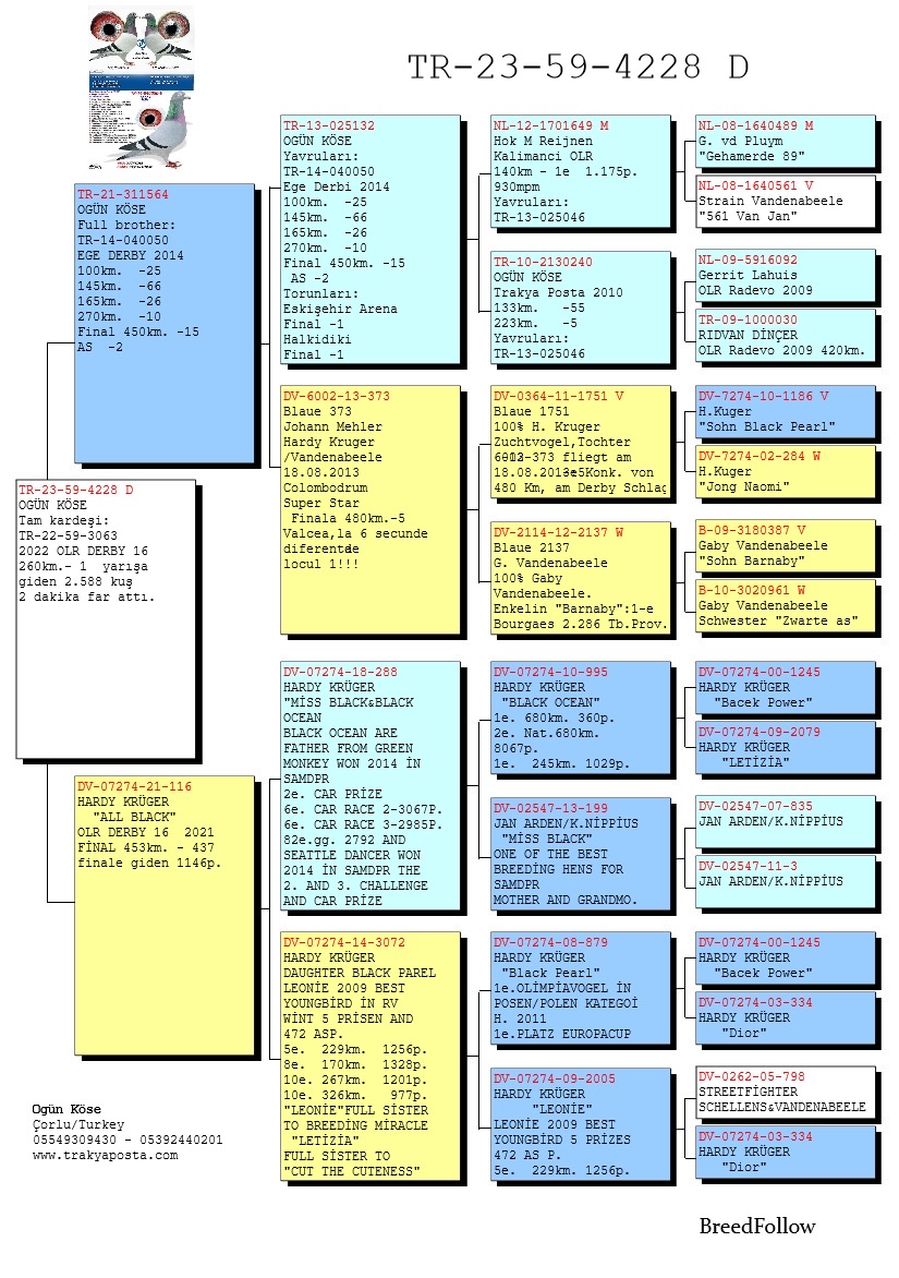 TR23-59-4228DİŞİ / TAM KARDEŞİ 29 SEMİ FİNAL DERBY16