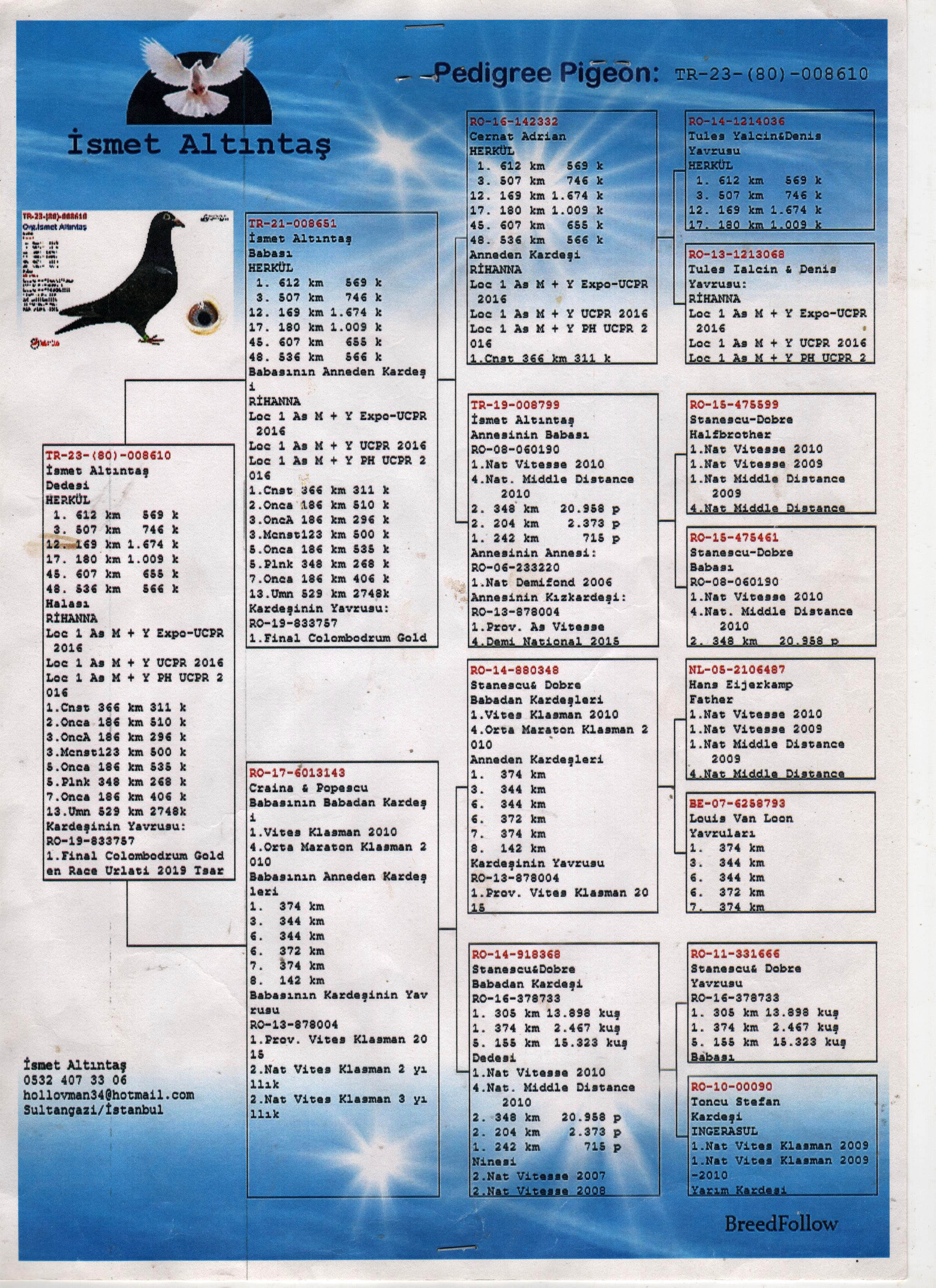 TR23-80-008610 DİŞİ DEDESİ HERKUL 1 412 KM 