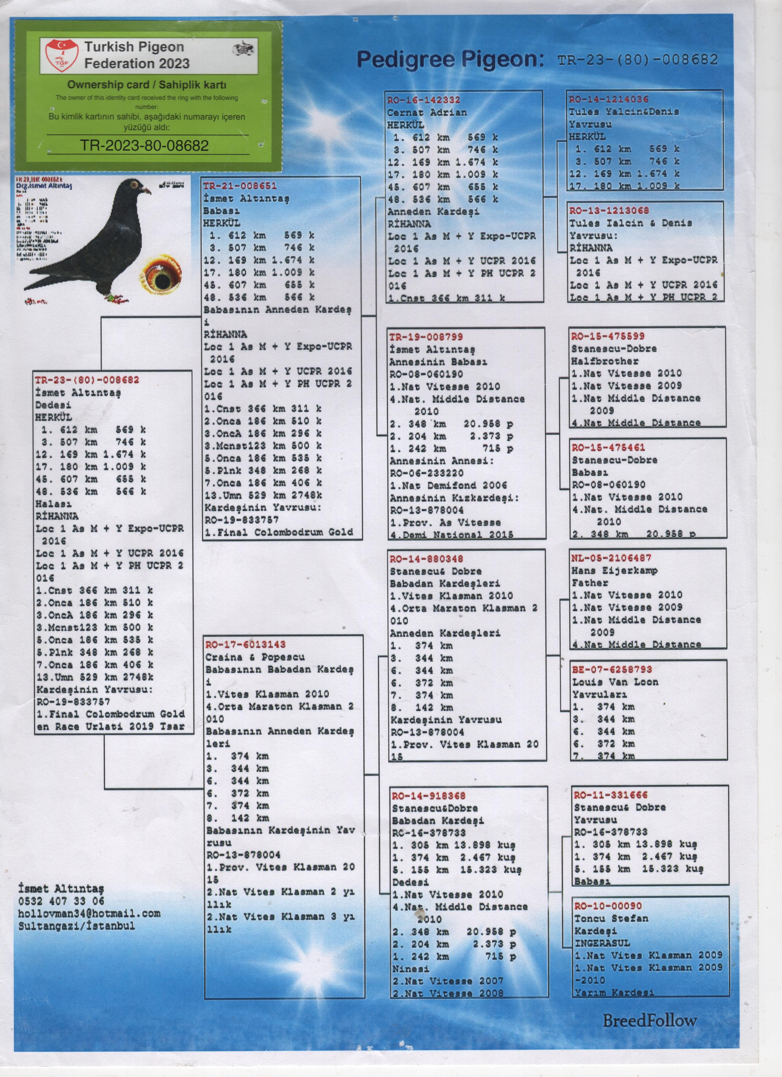 TR23-80-008682 ERKEK / DEDESİ HERKUL 1  612 KM 