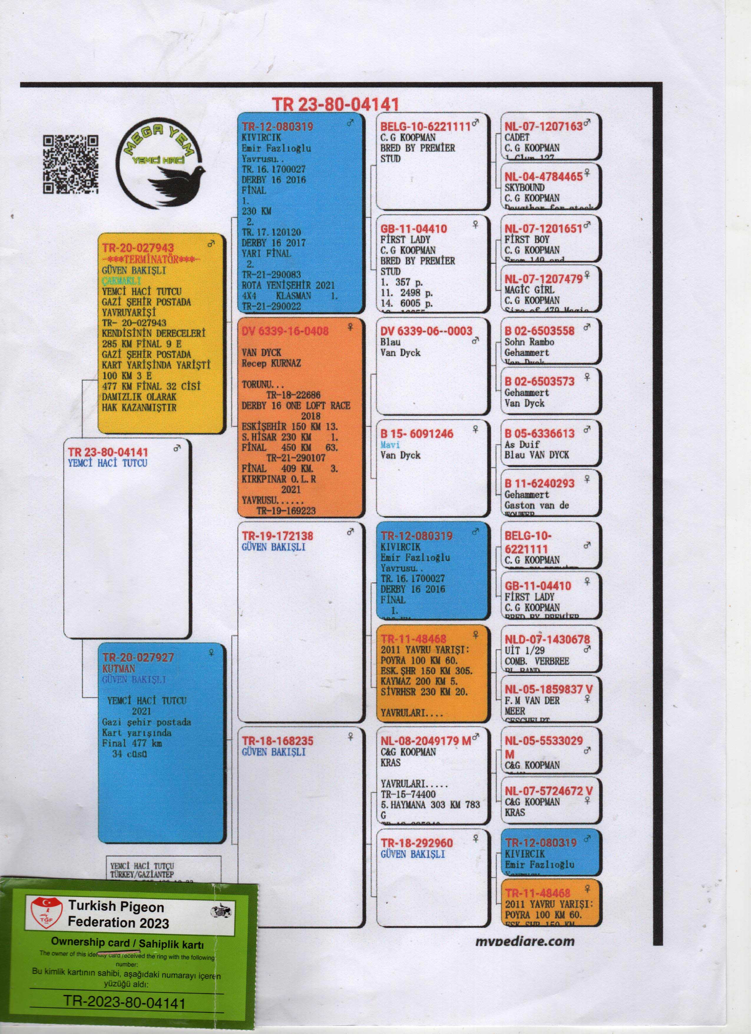 TR23-80-04141/ GUVEN BAKISLI % 100