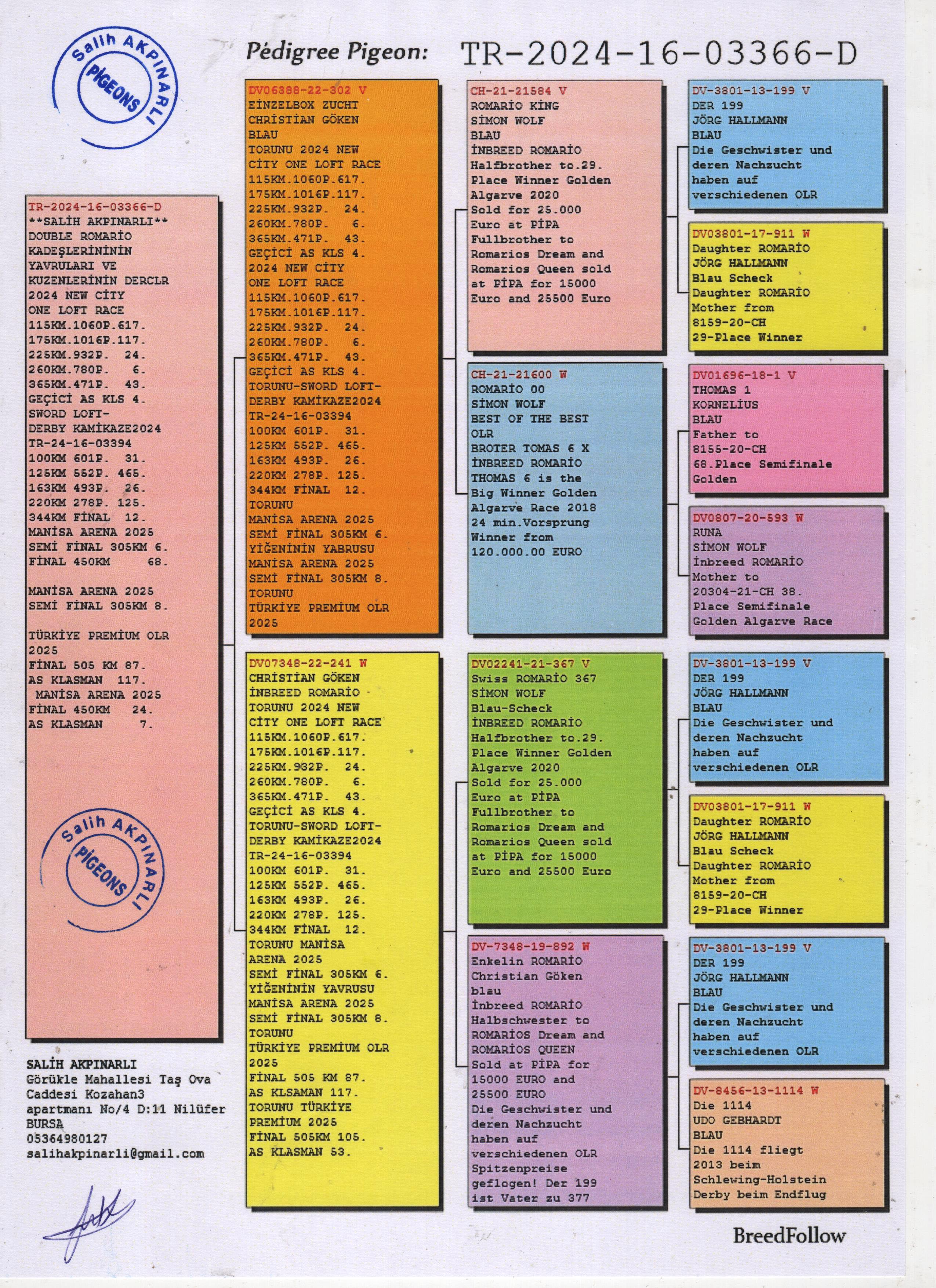 TR24-16-03366 DİŞİ / KARDEŞİNİN YAVRUSU NEW CİTY 4 AS KLASMAN GE&Ccedil;İCİ