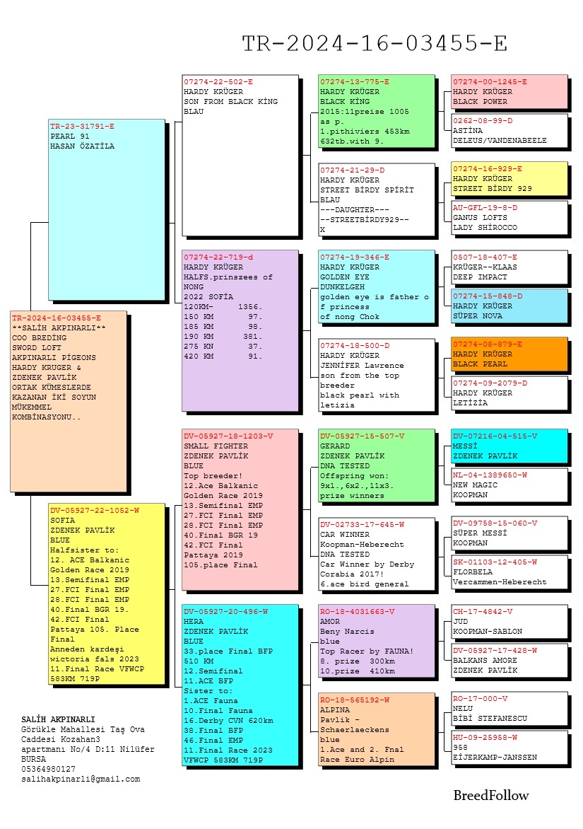 TR24-16-03455 ERKEK / HARDY KRUGER - ZDENEK PAVLİK 