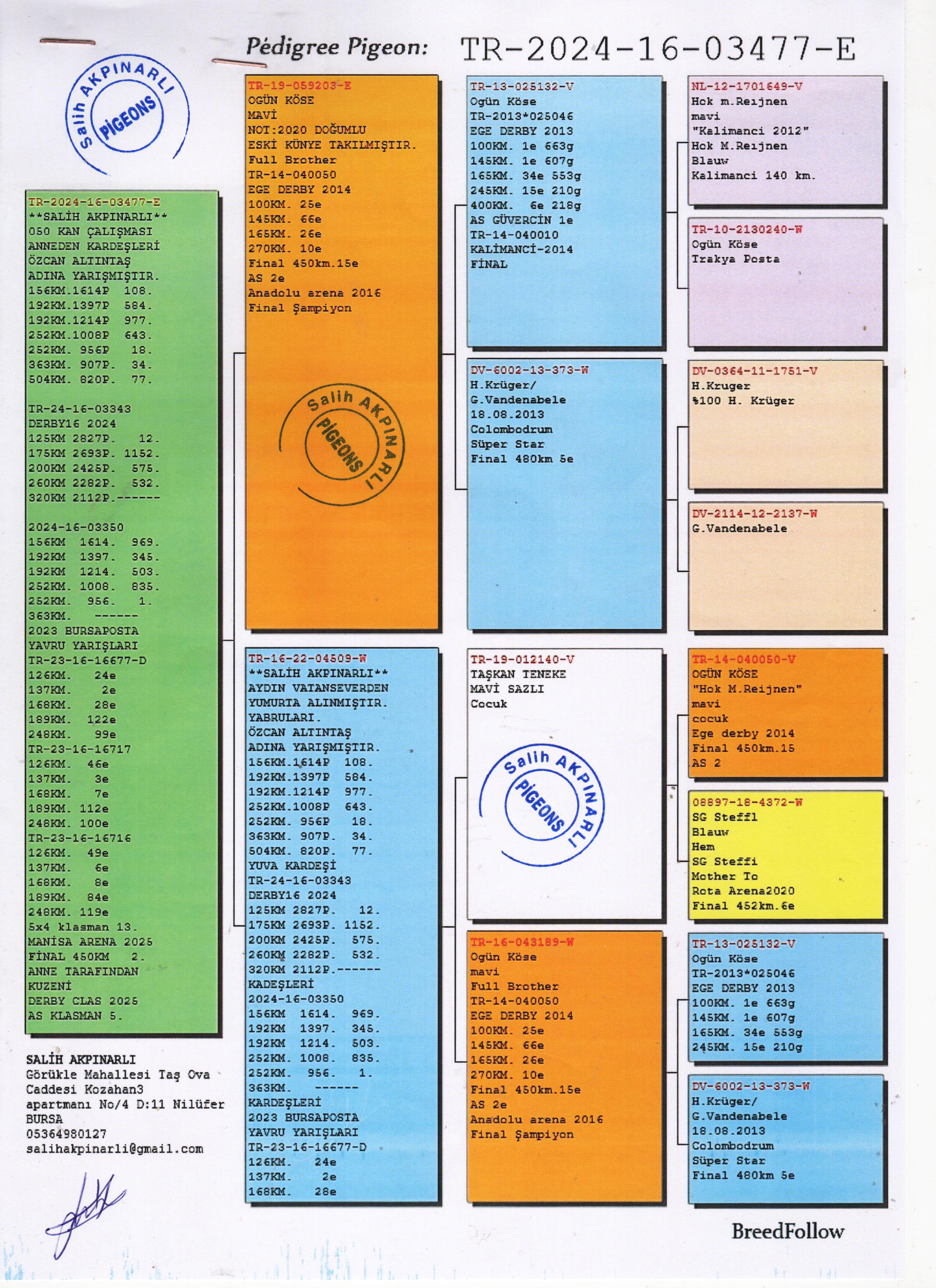 TR24-16-03477 ERKEK / 050 KAN &Ccedil;ALIŞMASI 