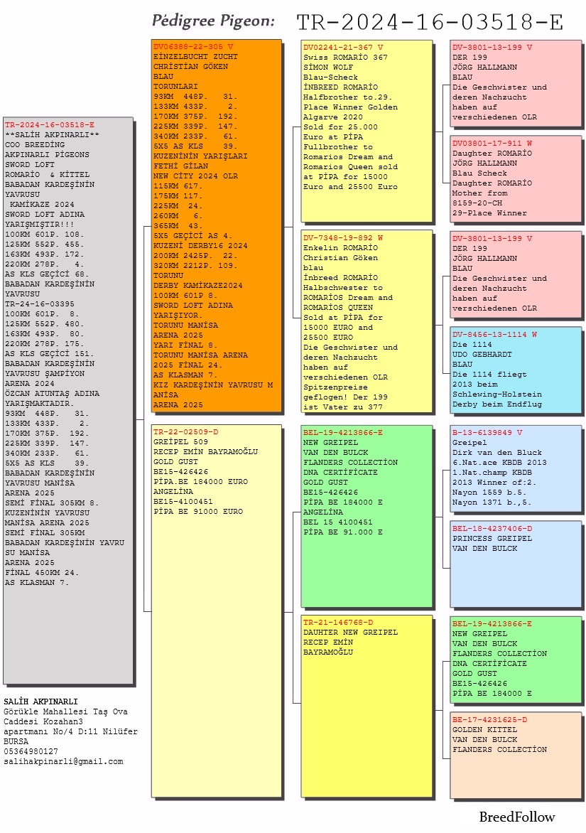TR24-16-03518 ERKEK / ROMARIO - GREIPEL 