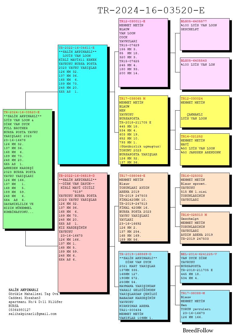 TR24-16-03520 ERKEK / VAN LOON X VAN DYCK