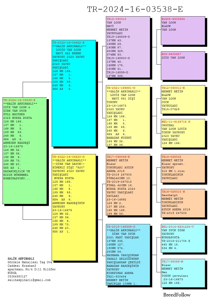 TR24-16-03538 ERKEK / VAN DYCK - VAN LOON TAM KARDEŞİ 6 AS KLASMAN - 1  - 137 KM - 6 248 KM 