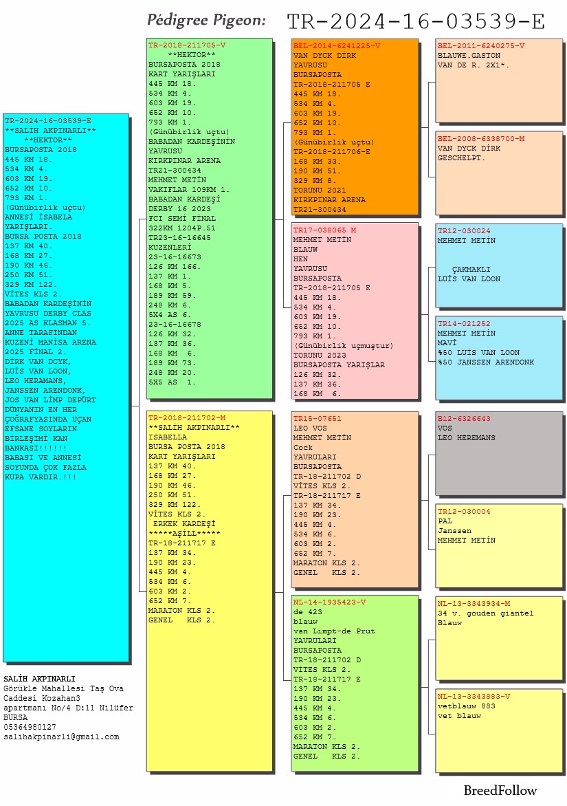 TR24-16-03539 ERKEK / BABASI HEKTOR  1 793 KM G&Uuml;N&Uuml; BİRLİK ŞAMPİYON 