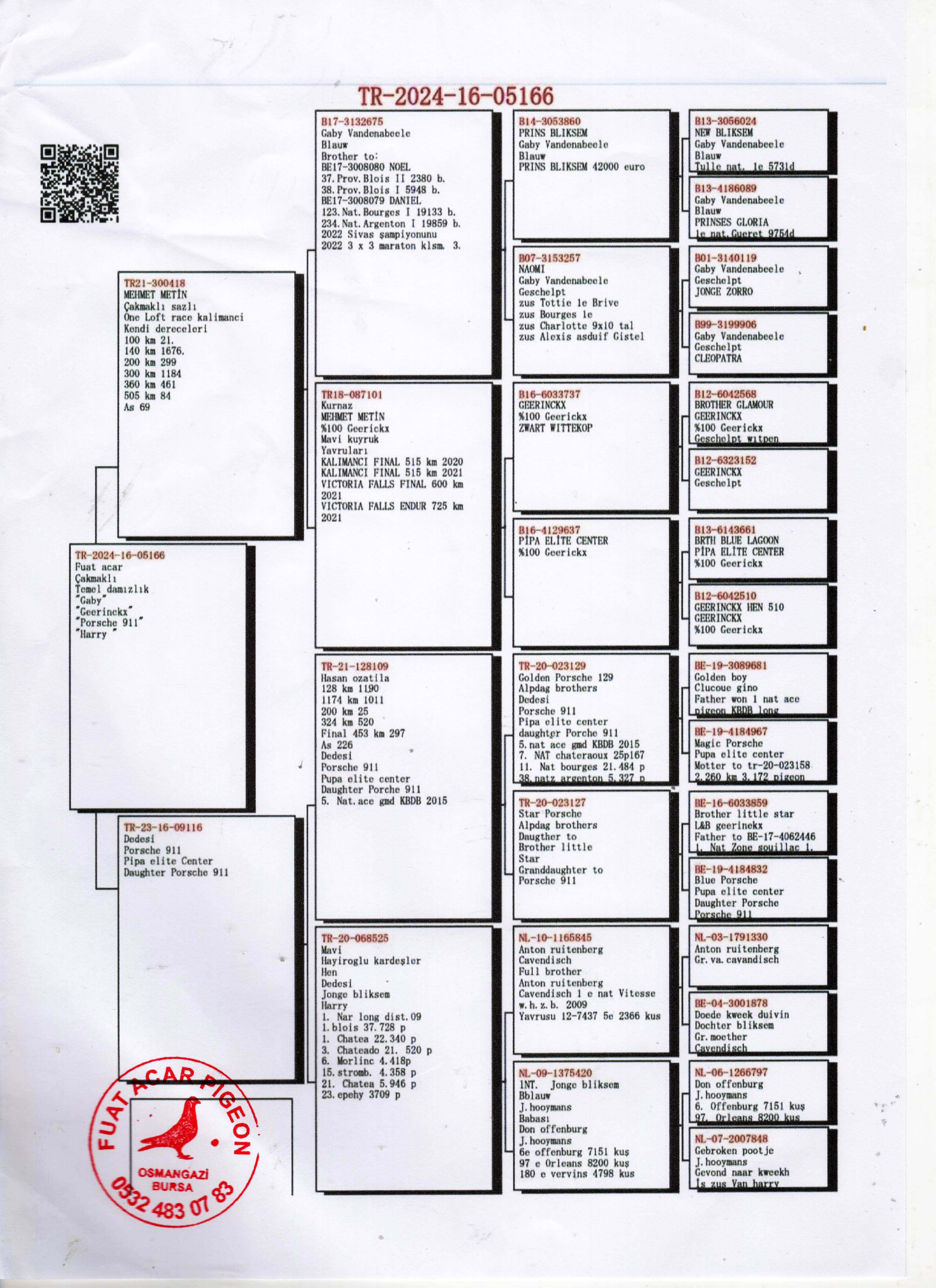 TR24-16-05166 DİŞİ / GABY GEERINCKX  PORSCHE 911