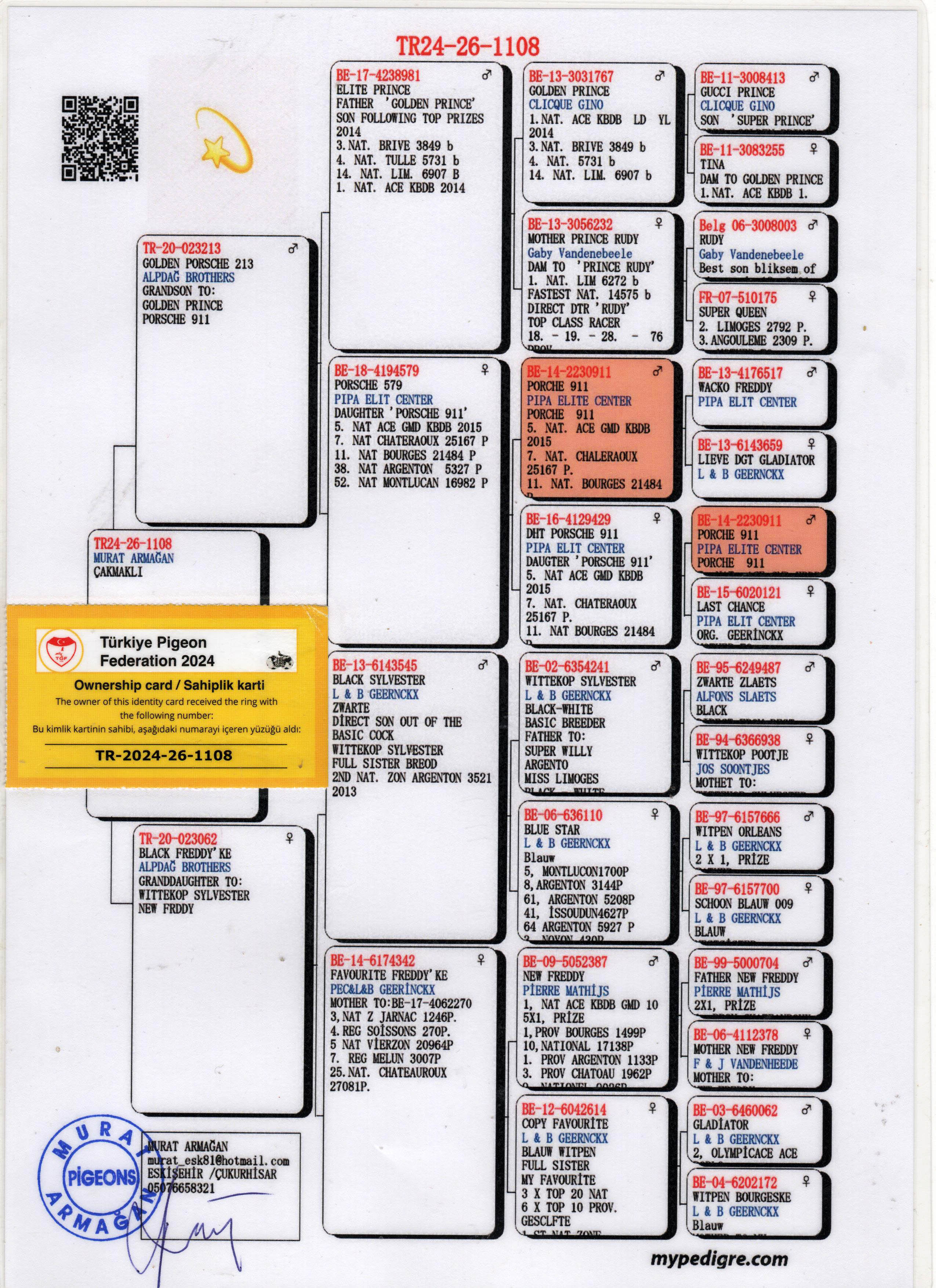 TR24-16-1108 DİŞİ / ALPDAG BROTHERS % 100