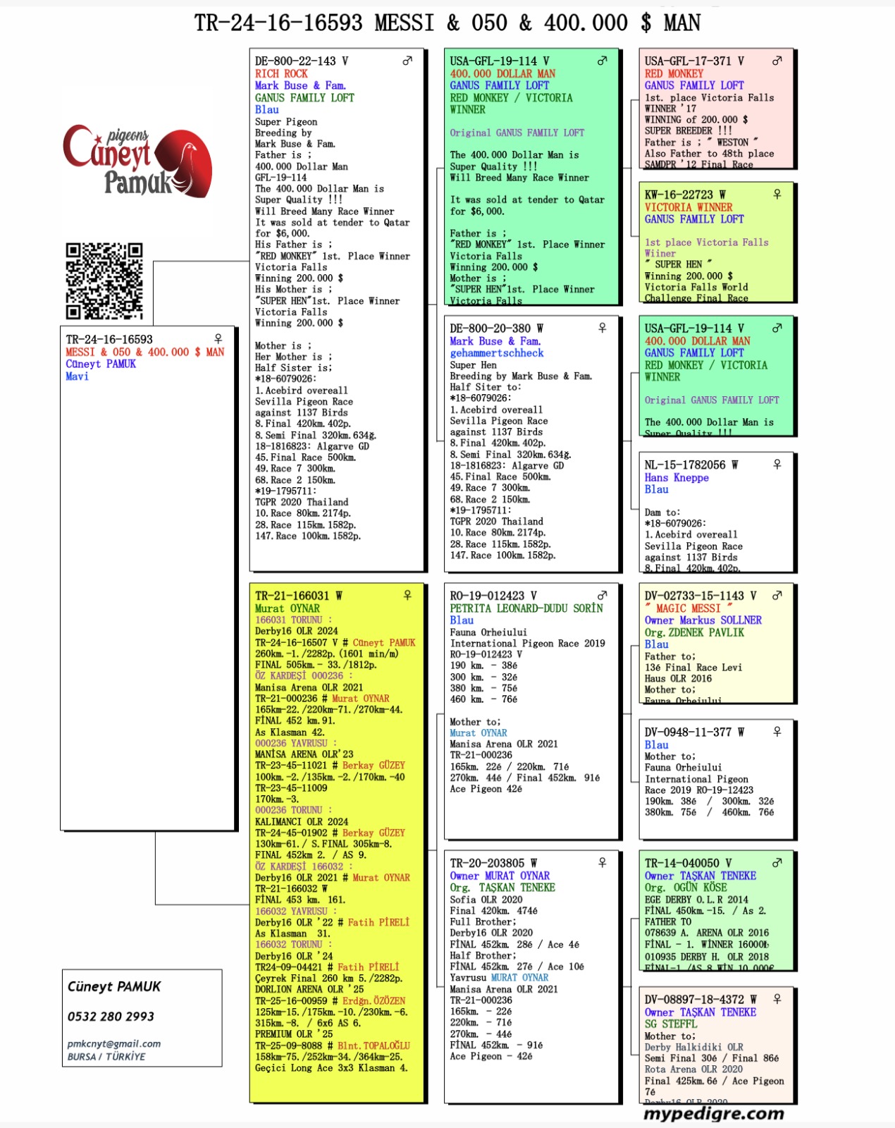 TR24-16-16593 DİŞİ / BABASI 400 BİN DOLAR MAN OĞLU