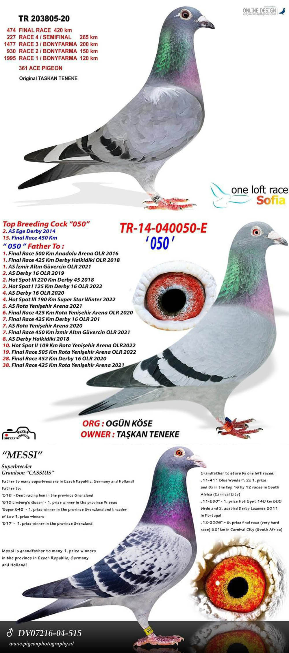 TR24-16-16593 DİŞİ / BABASI 400 BİN DOLAR MAN OĞLU