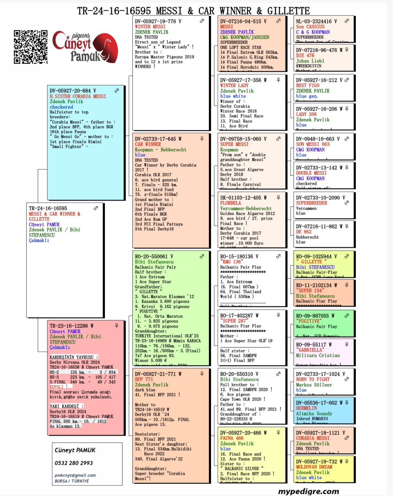 TR24-16-16595 ERKEK  / CAR WİNNER TORUNU BABASI MESSİ TORUNU
