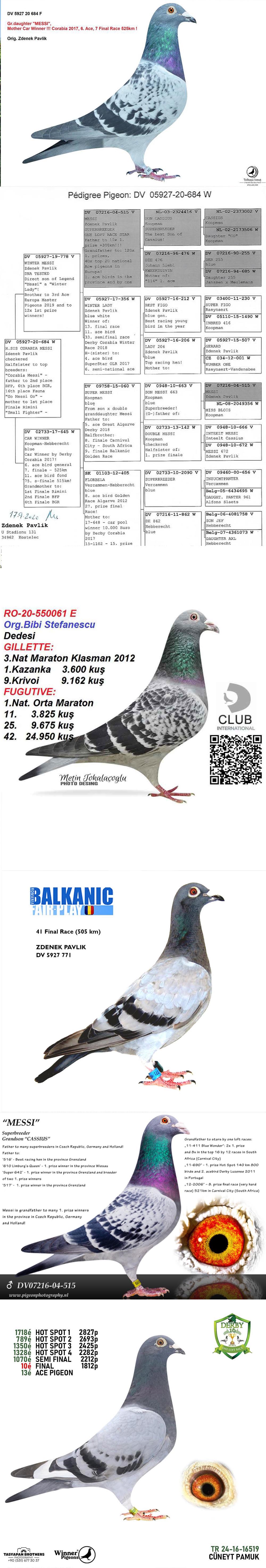 TR24-16-16595 ERKEK  / CAR WİNNER TORUNU BABASI MESSİ TORUNU