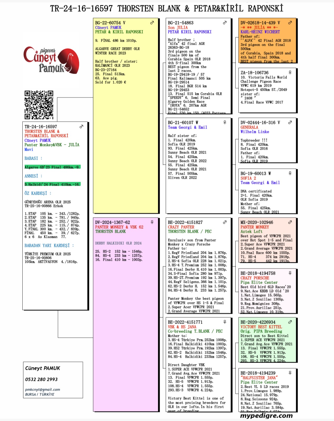 TR24-16-16597 ERKEK / BABASI JULIA TORUNU -  9 FİNAL 486 KM 