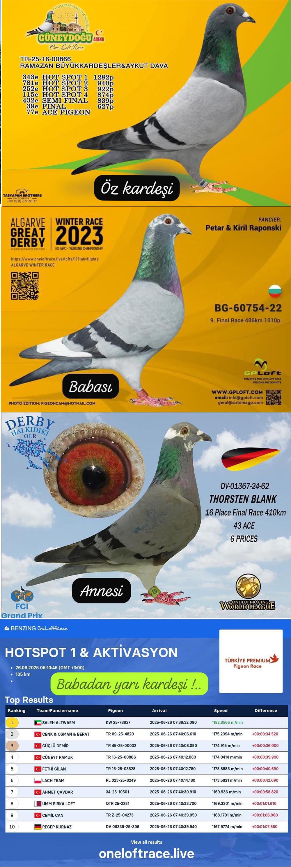 TR24-16-16597 ERKEK / BABASI JULIA TORUNU -  9 FİNAL 486 KM 