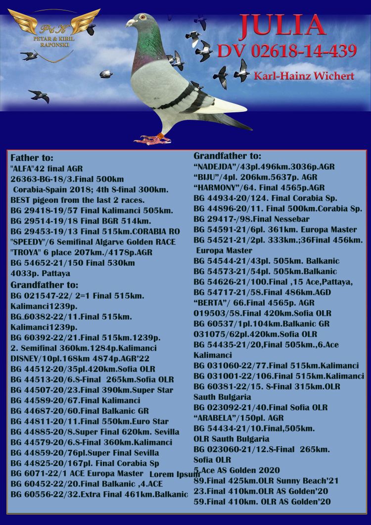 TR24-16-16597 ERKEK / BABASI JULIA TORUNU -  9 FİNAL 486 KM 