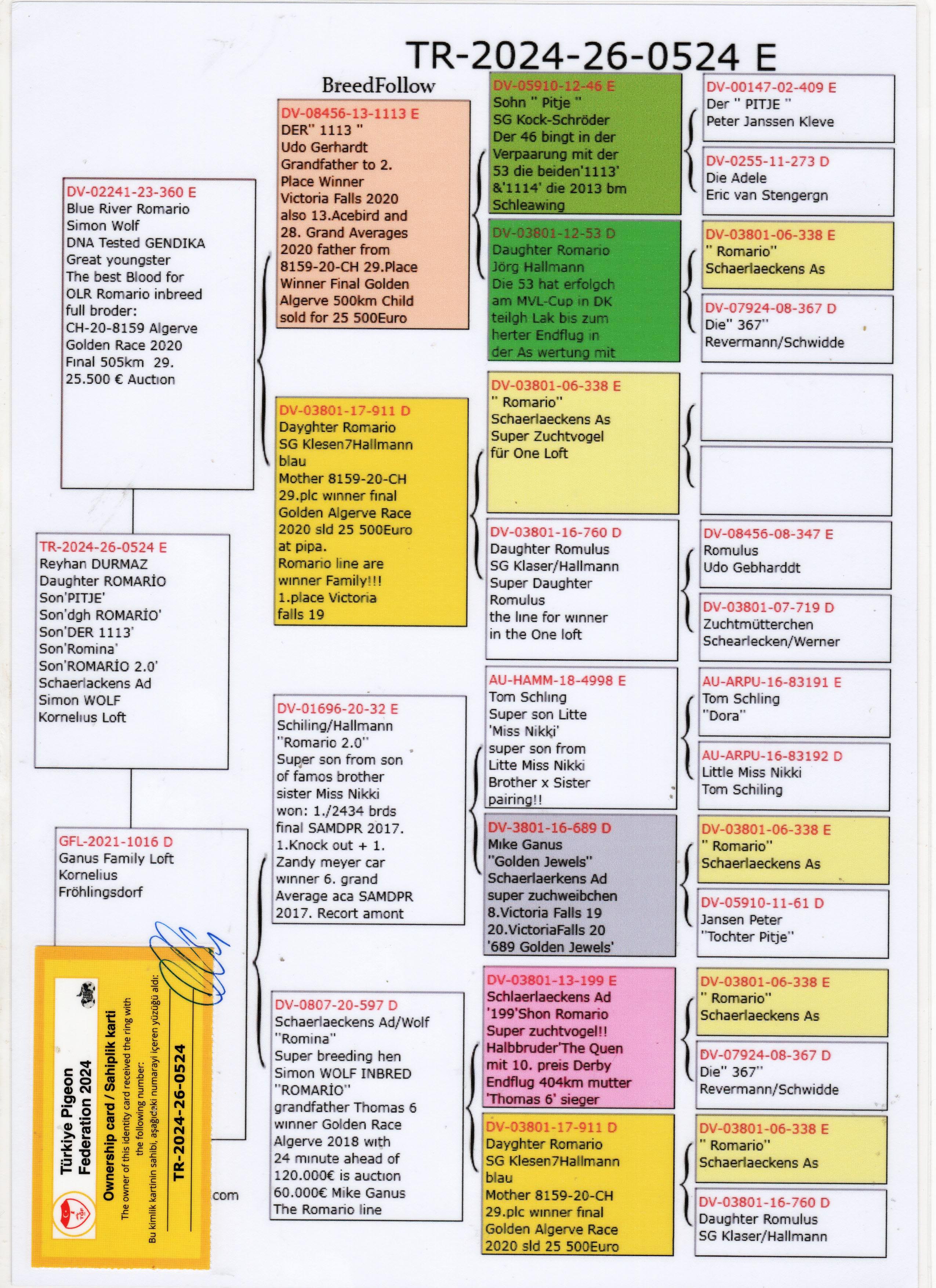 TR24-26-0524 ERKEK /  BLUE RIVER ROMARIO  X GANUS FAMILY LOFT