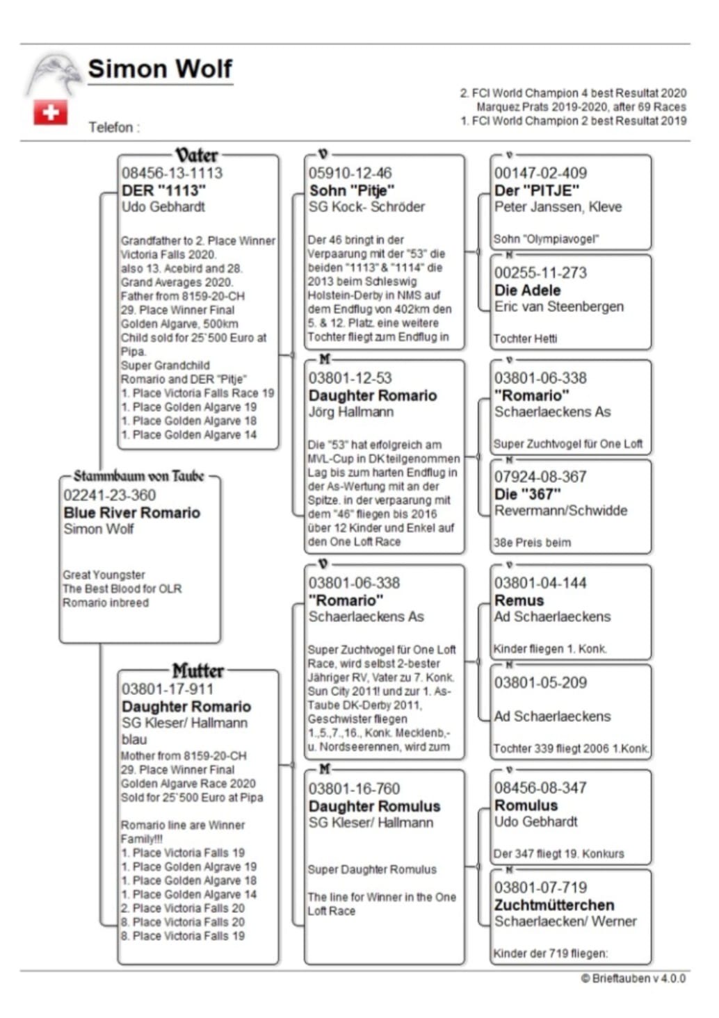 TR24-26-0525 ERKEK / BLUE RIVER ROMARIO X INBREED OLMPIC ROSITA 