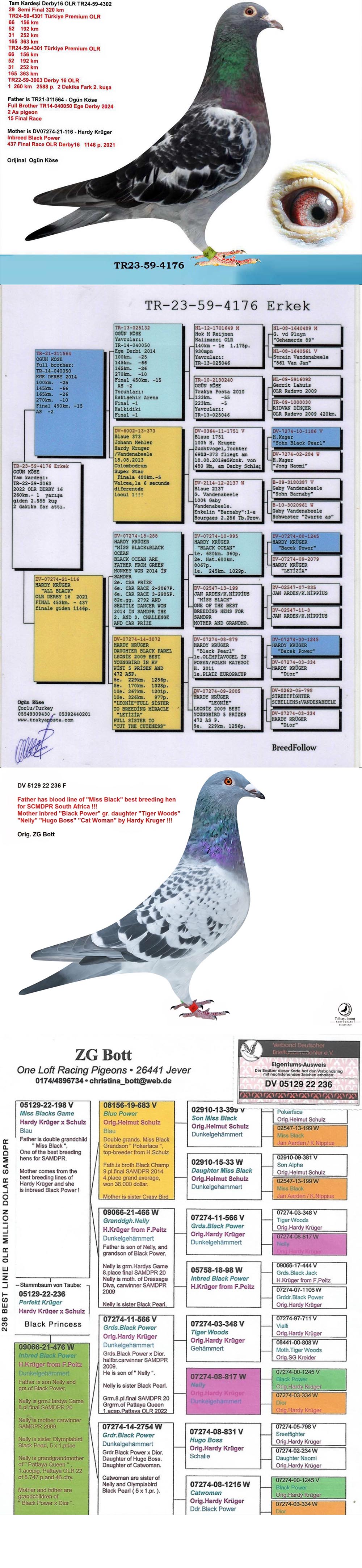 TR24-26-0533 ERKEK / HARDY KRUGER % 75 