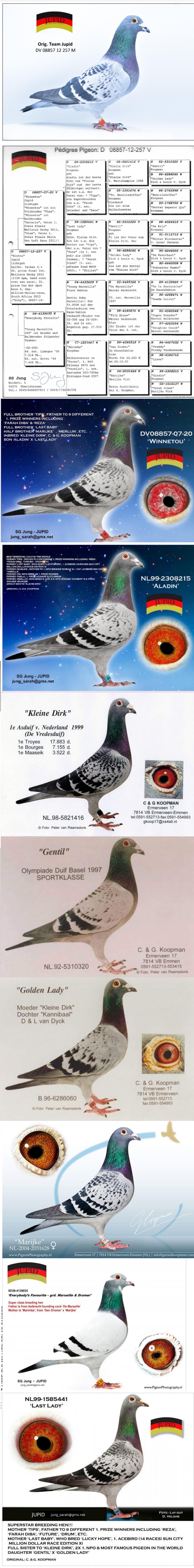 TR24-26-0549 ERKEK / BABASI SABLON - KOOPMAN ANNESİ SABLON % 100
