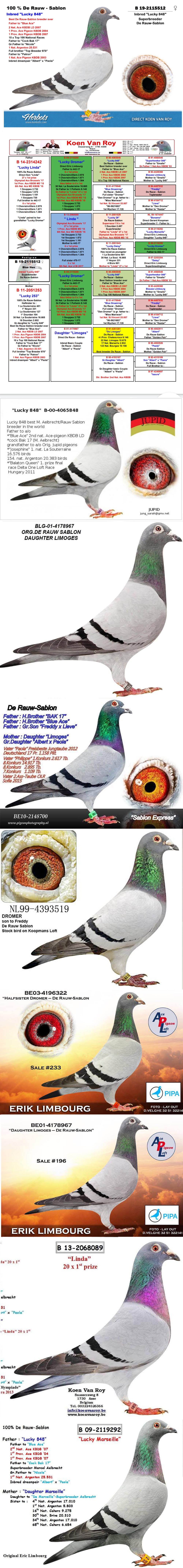 TR24-26-0549 ERKEK / BABASI SABLON - KOOPMAN ANNESİ SABLON % 100