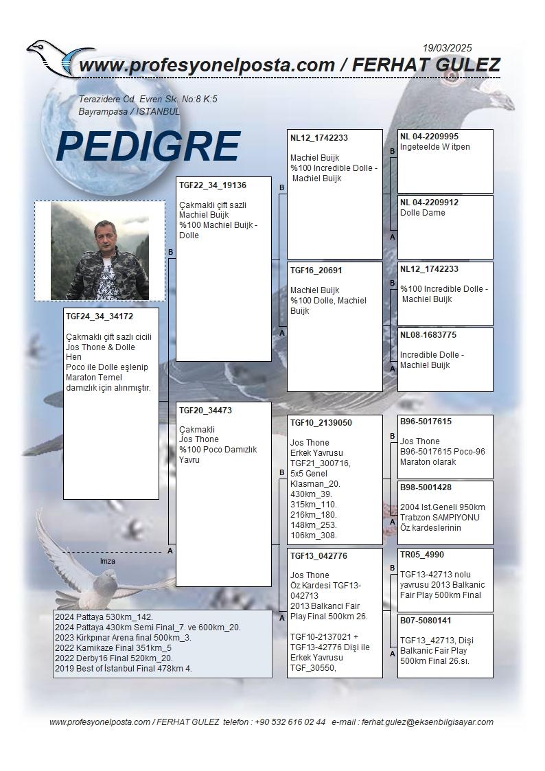 TR24-34-34172 DİŞİ / AARDEN - POCO